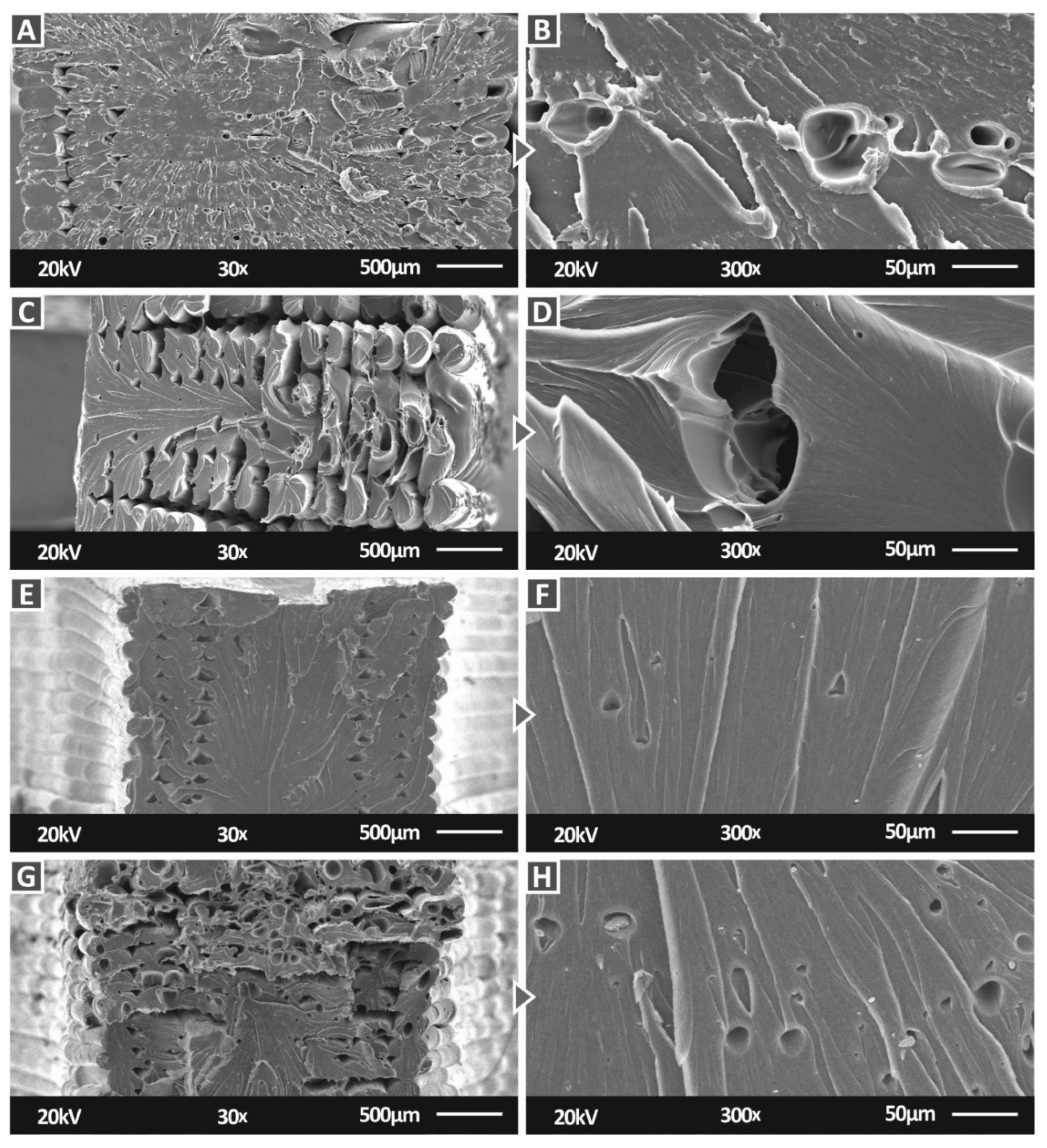 Nanomaterials 12 01068 g015