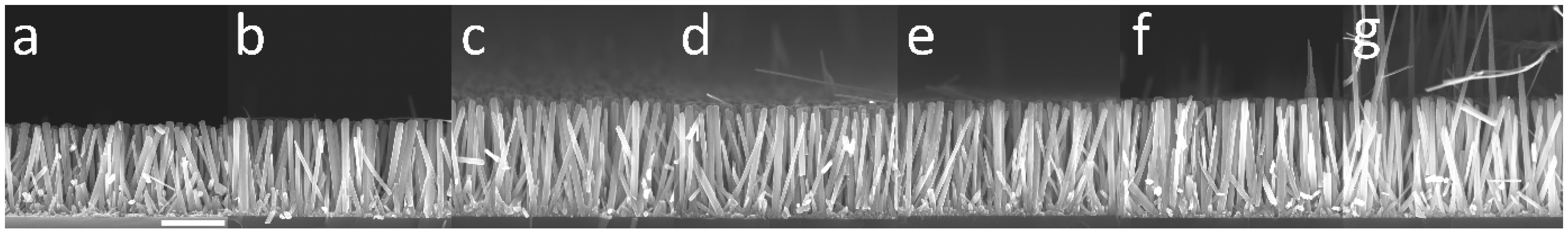 Nanomaterials 12 01069 g004