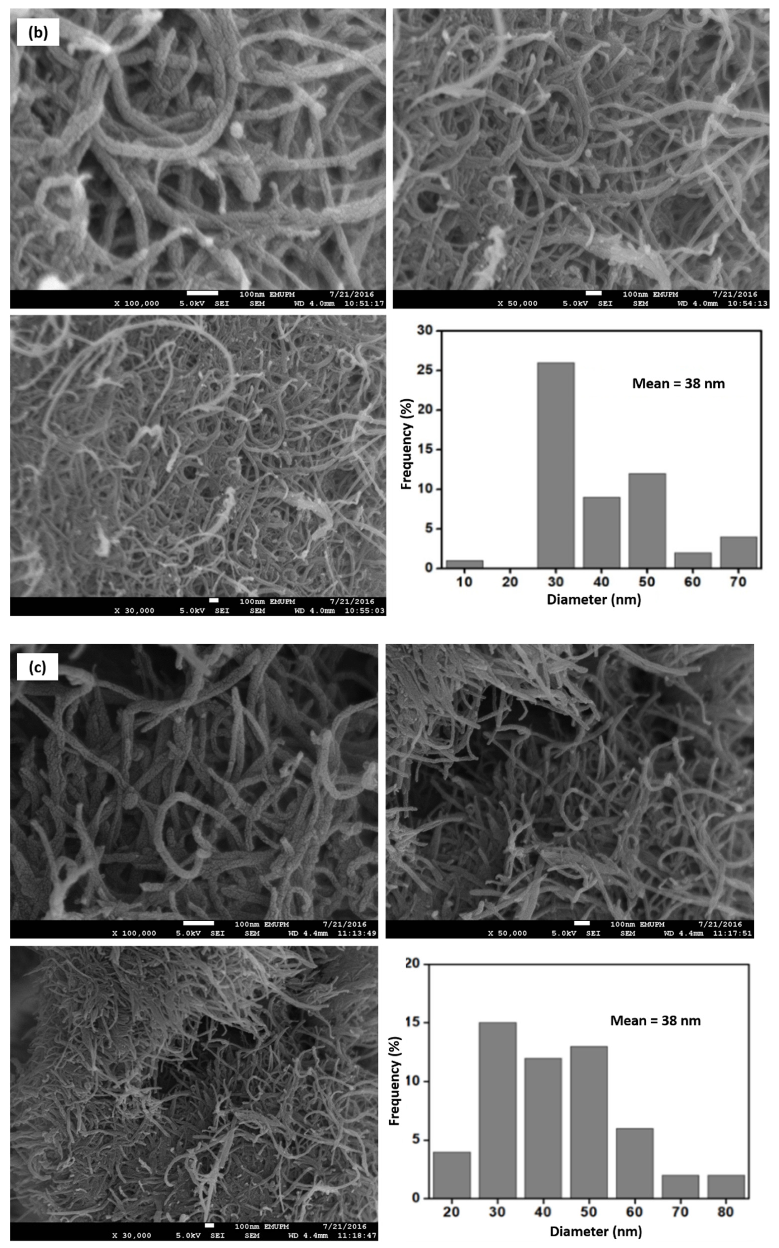 Nanomaterials 12 01071 g004b 550