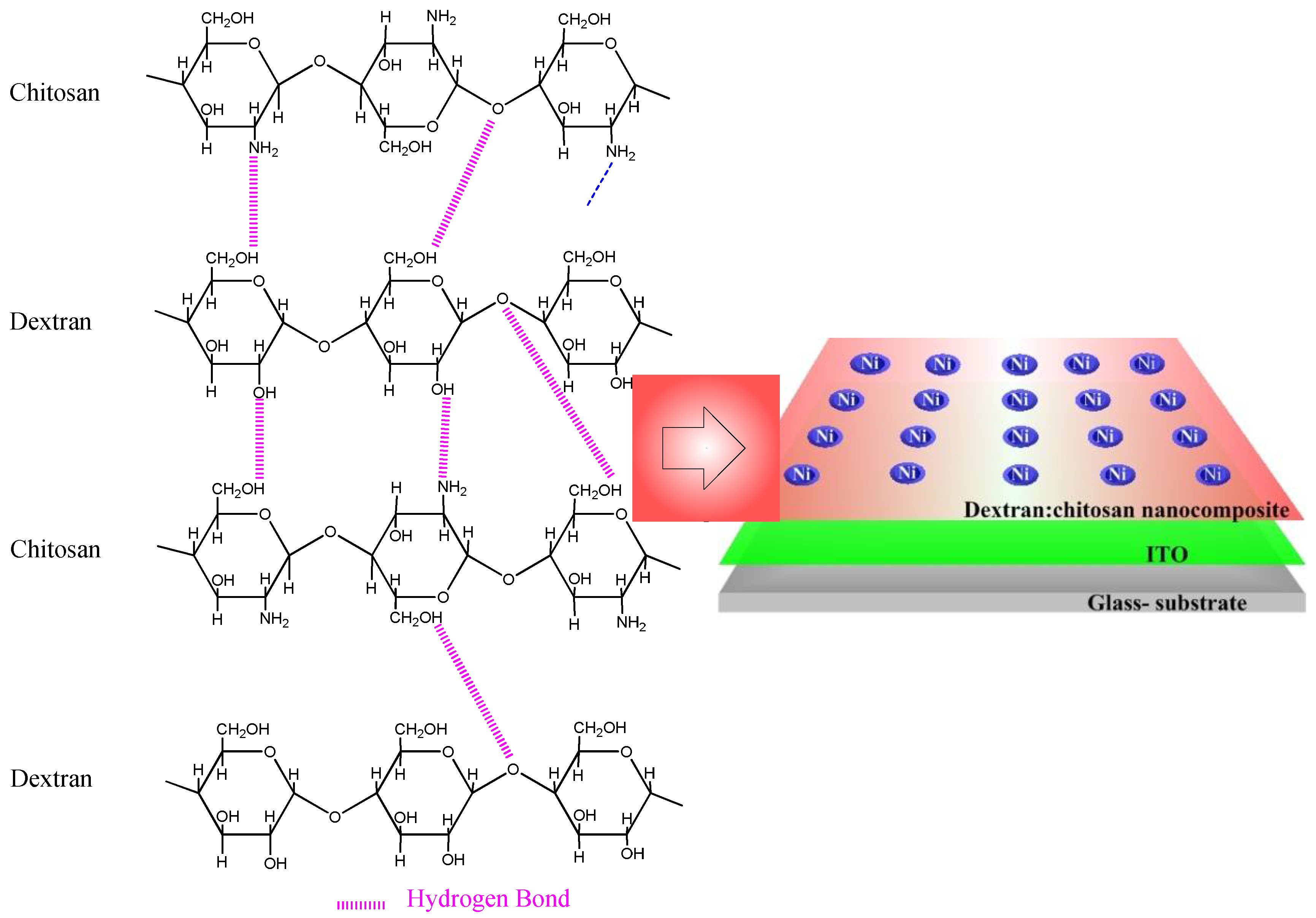 Nanomaterials 12 01072 g006 550
