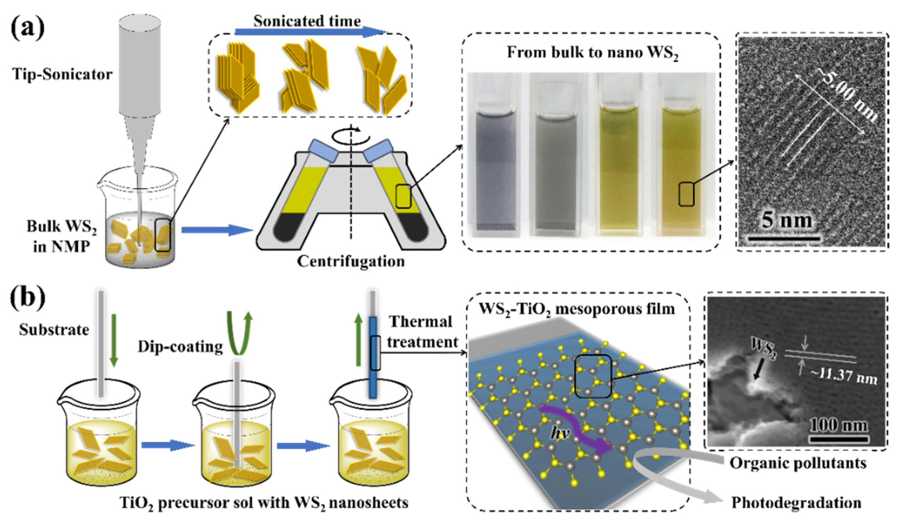 Nanomaterials 12 01074 sch001 550