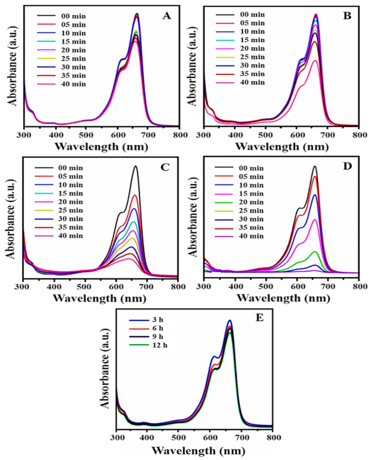 Nanomaterials 12 01079 g008