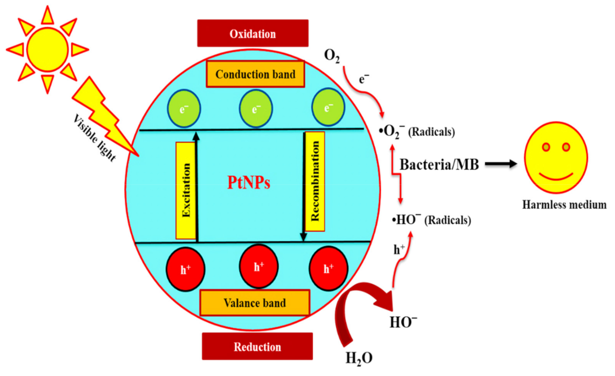 Nanomaterials 12 01079 g012
