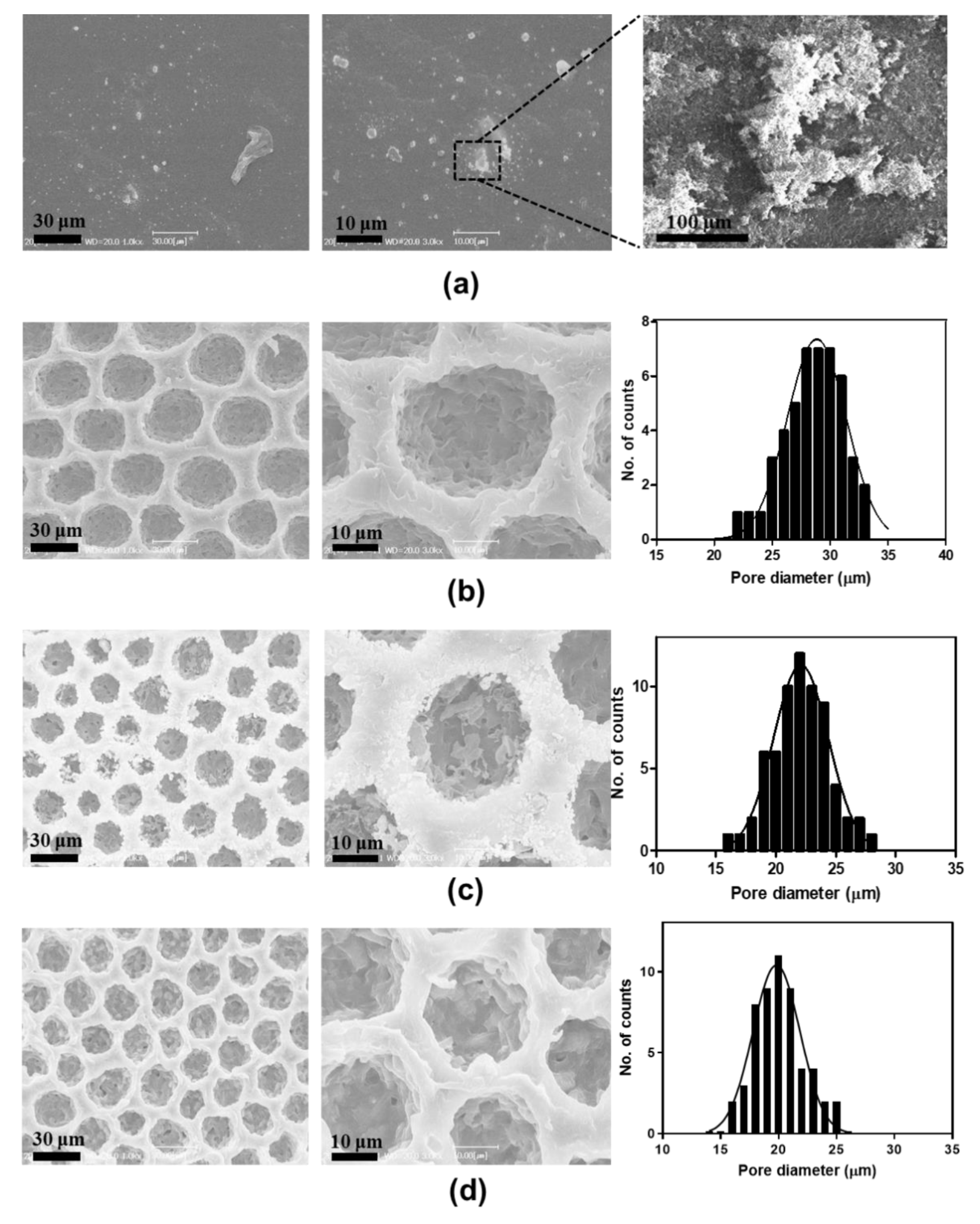 Nanomaterials 12 01085 g002