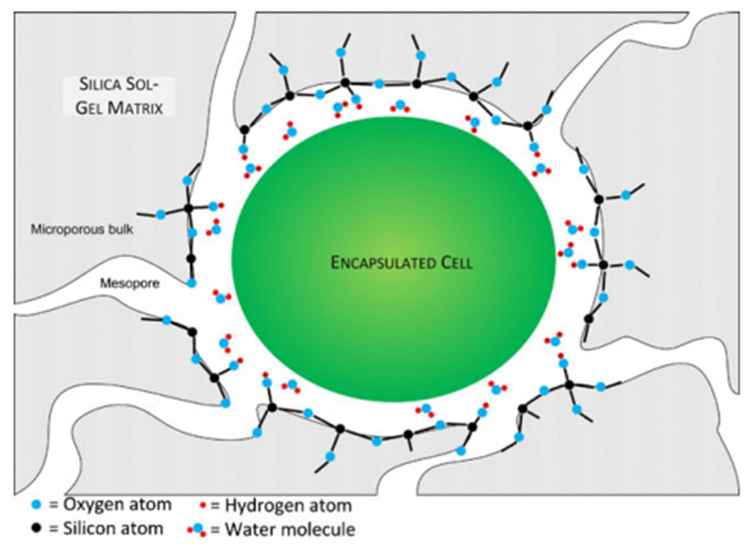 Nanomaterials 12 01086 g004