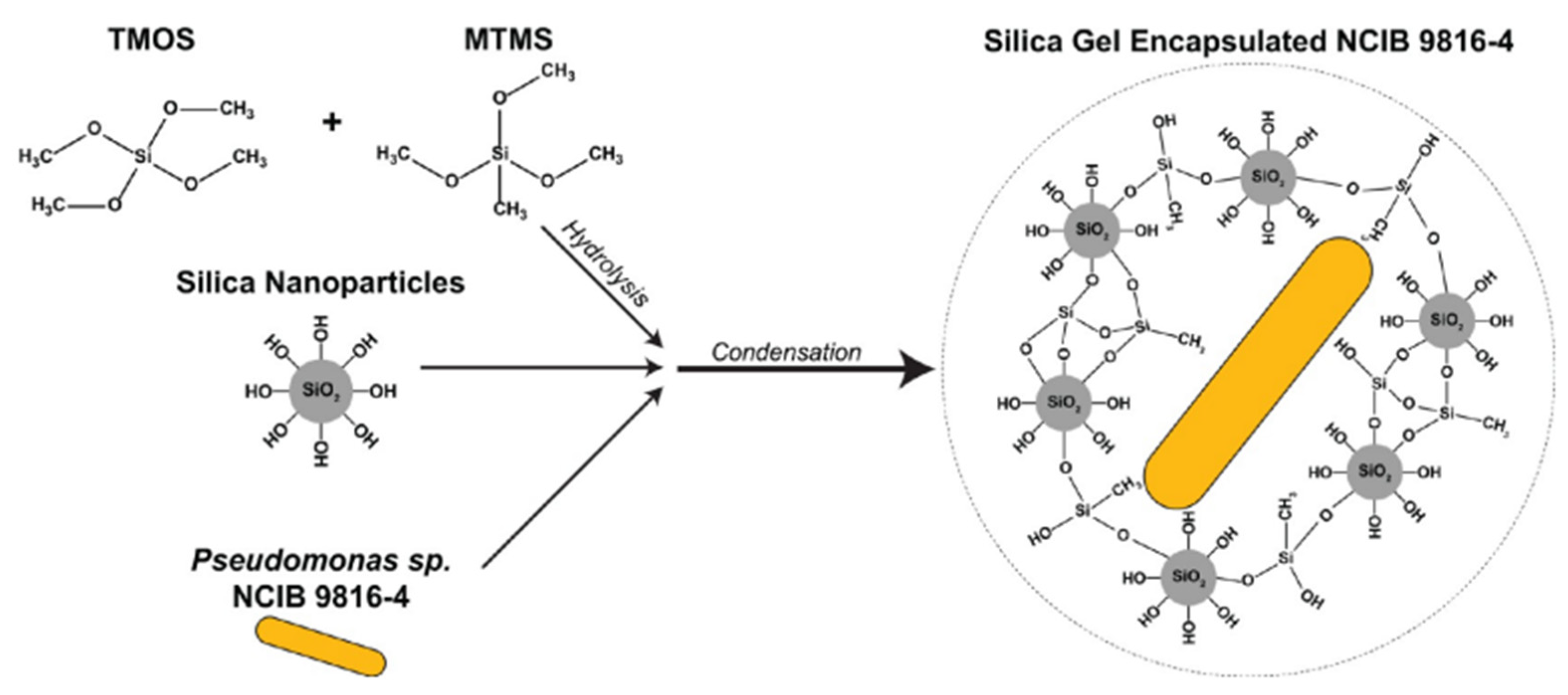 Nanomaterials 12 01086 g005