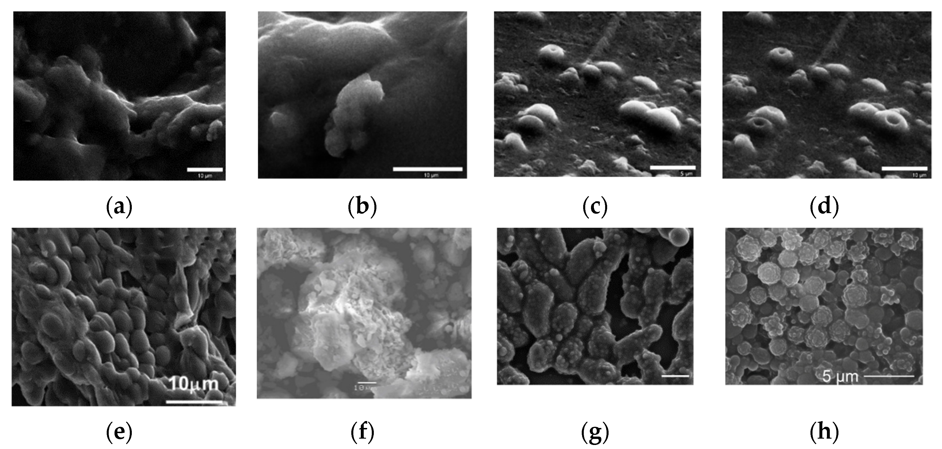 Nanomaterials 12 01086 g007