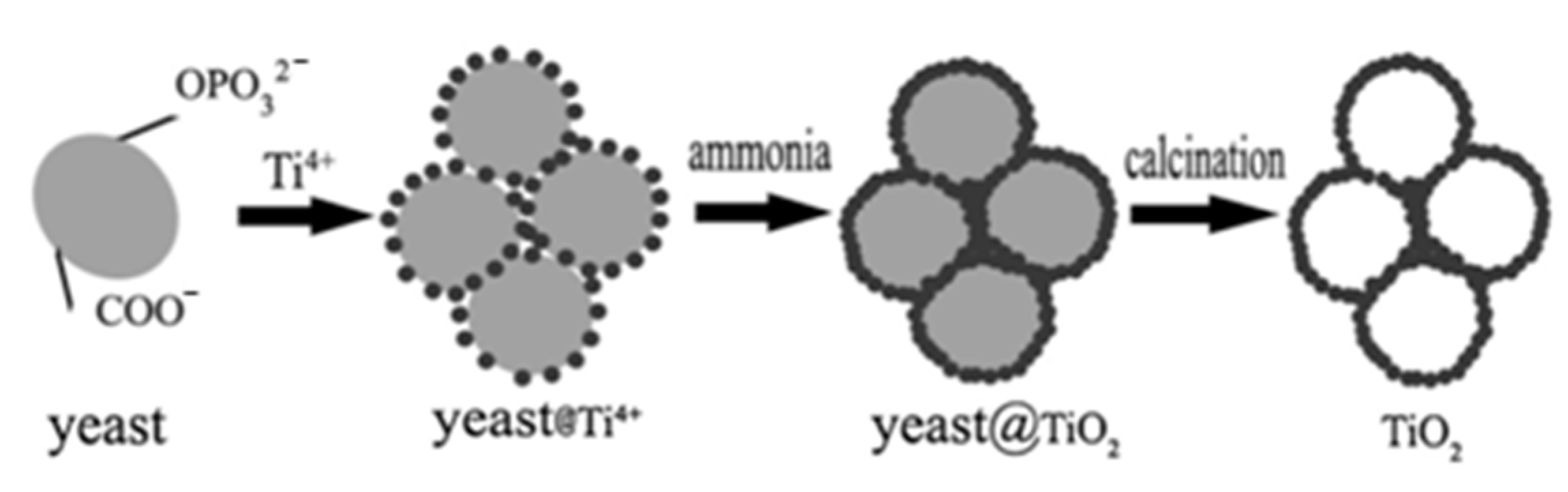 Nanomaterials 12 01086 g009