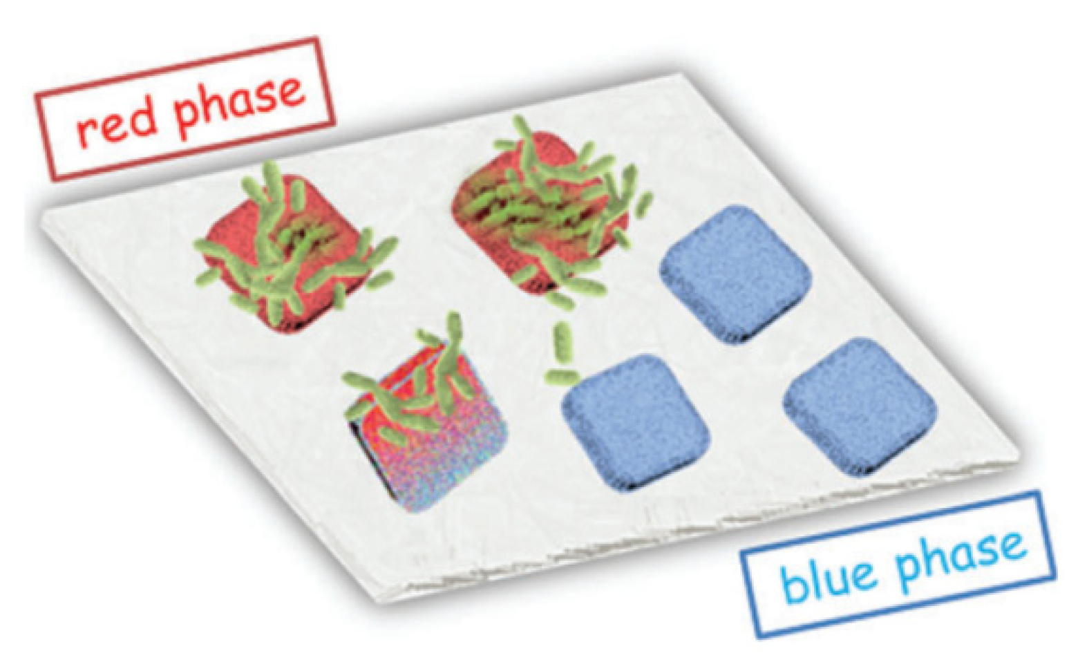 Nanomaterials 12 01086 g010