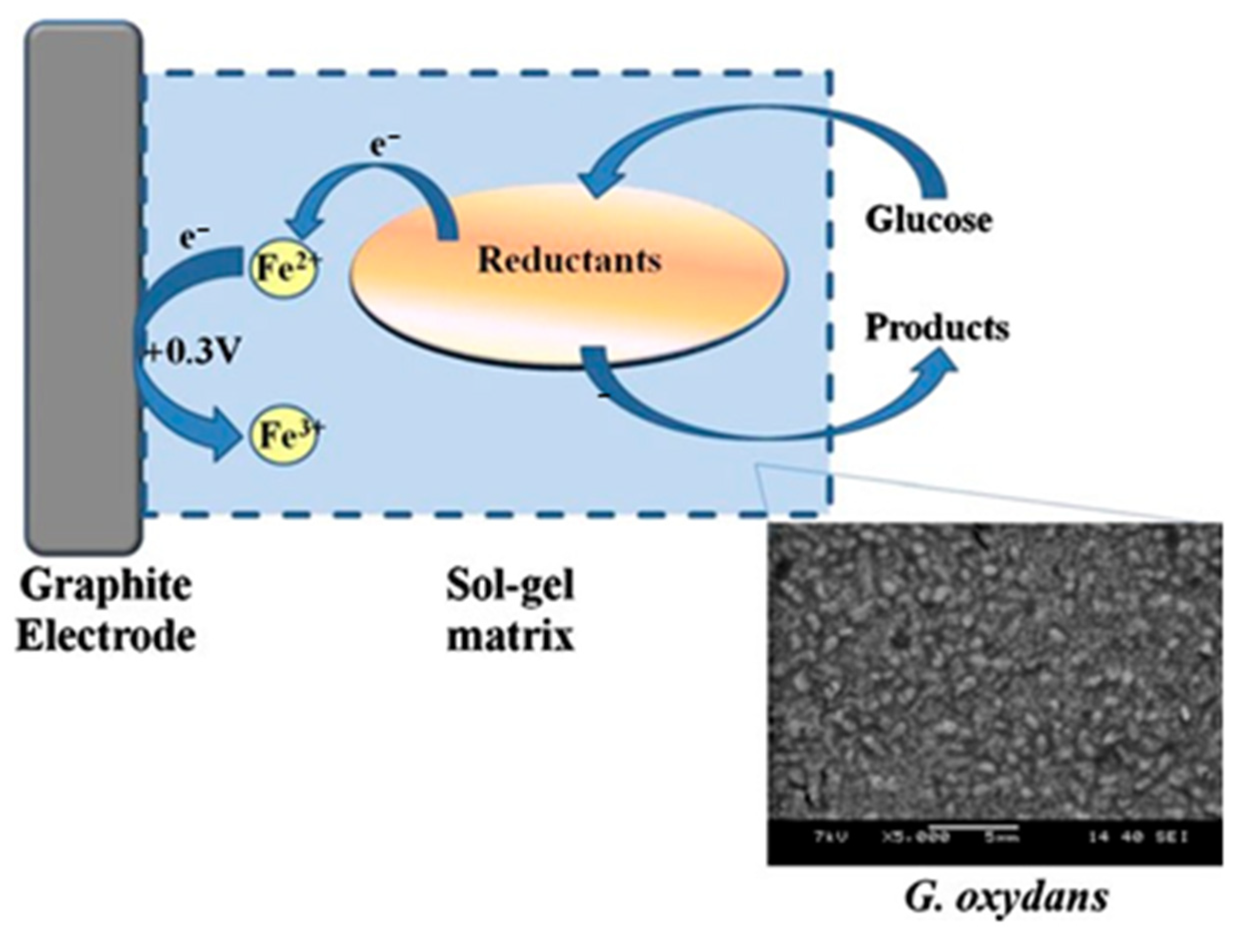 Nanomaterials 12 01086 g012