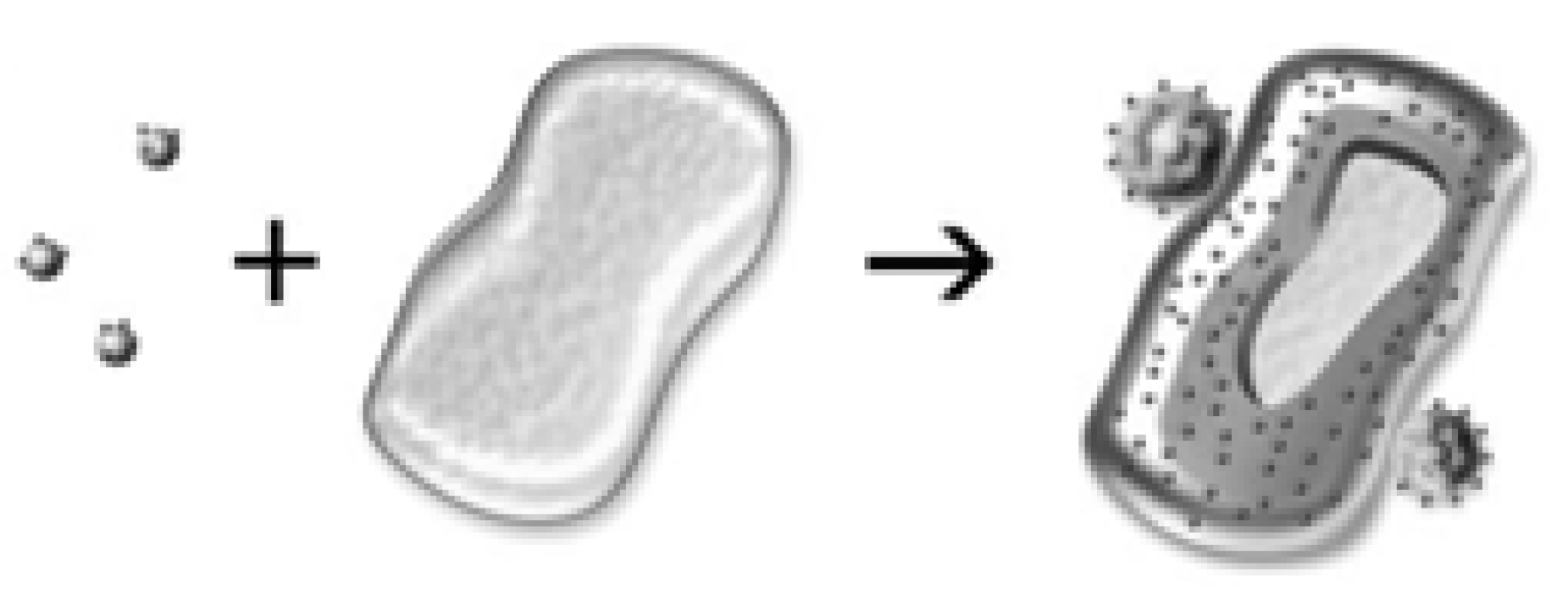 Nanomaterials 12 01086 g013