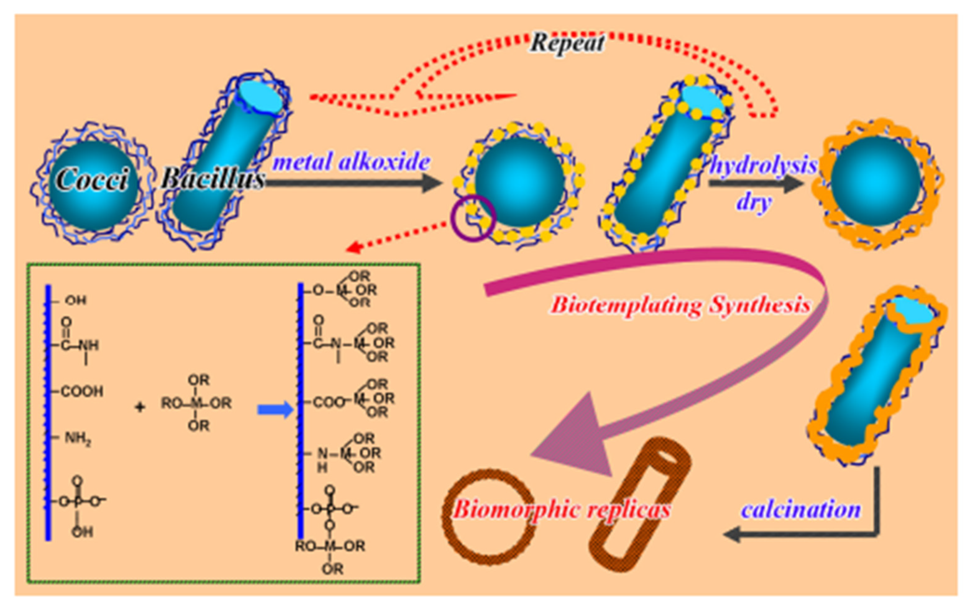 Nanomaterials 12 01086 g016