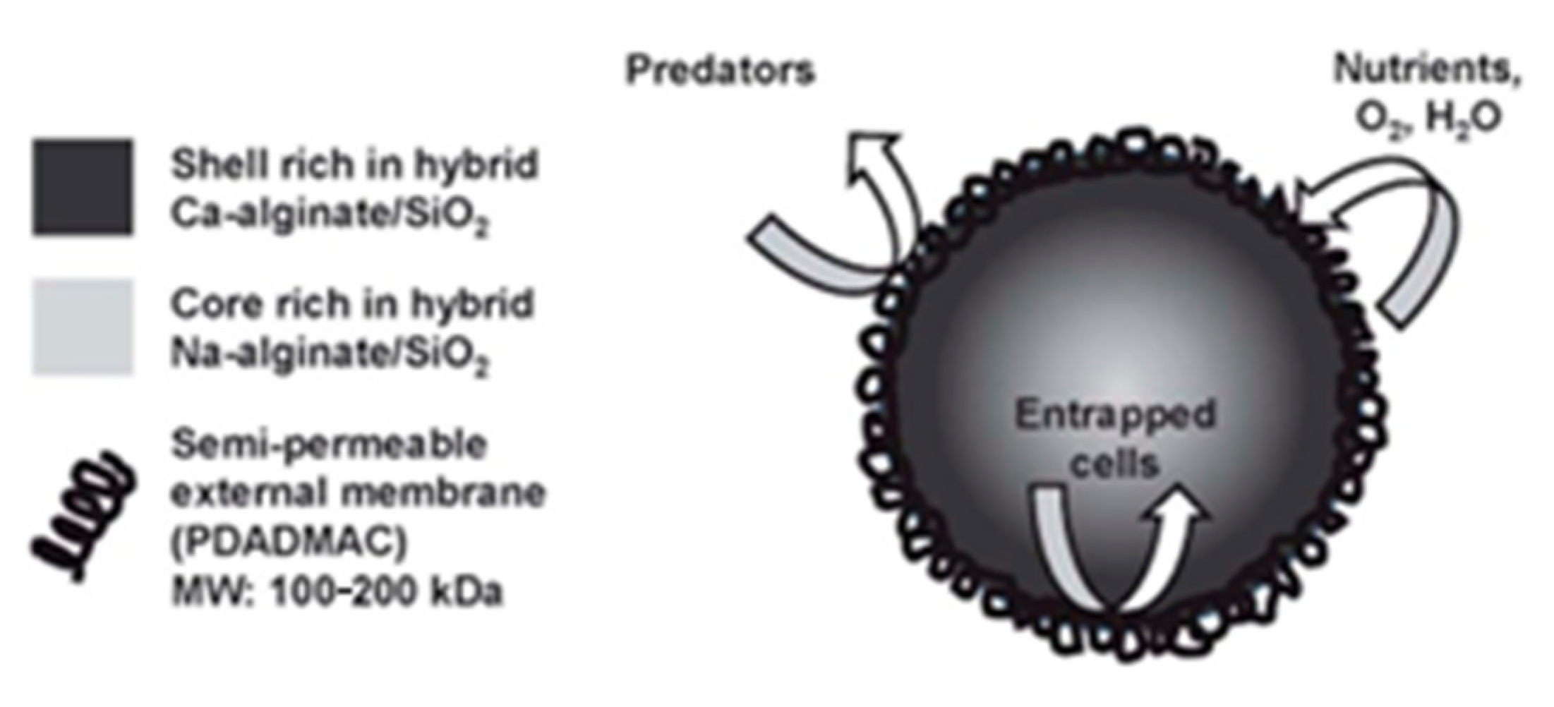 Nanomaterials 12 01086 g017