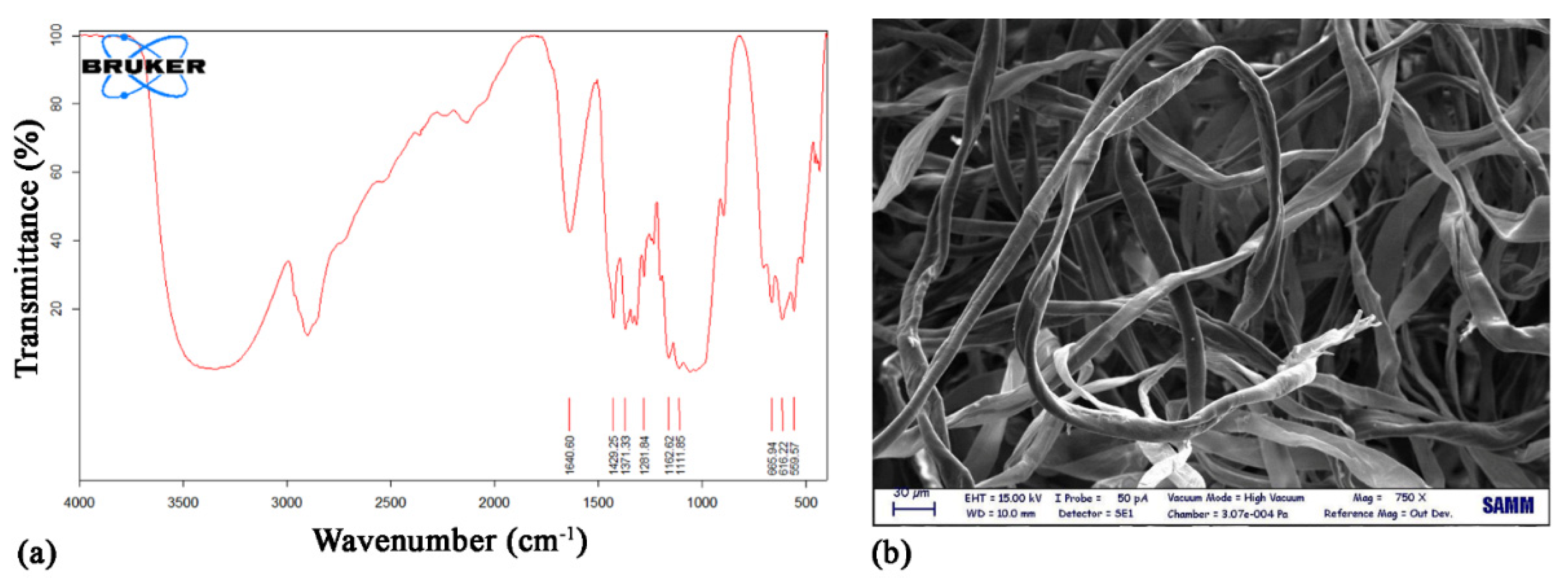 Nanomaterials 12 01093 g001