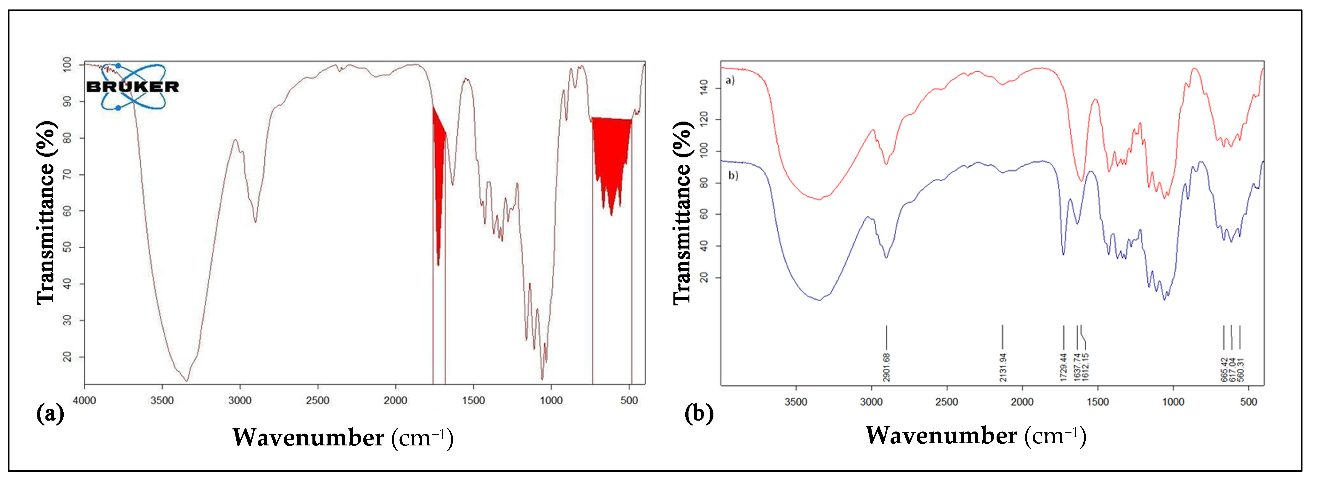 Nanomaterials 12 01093 g004