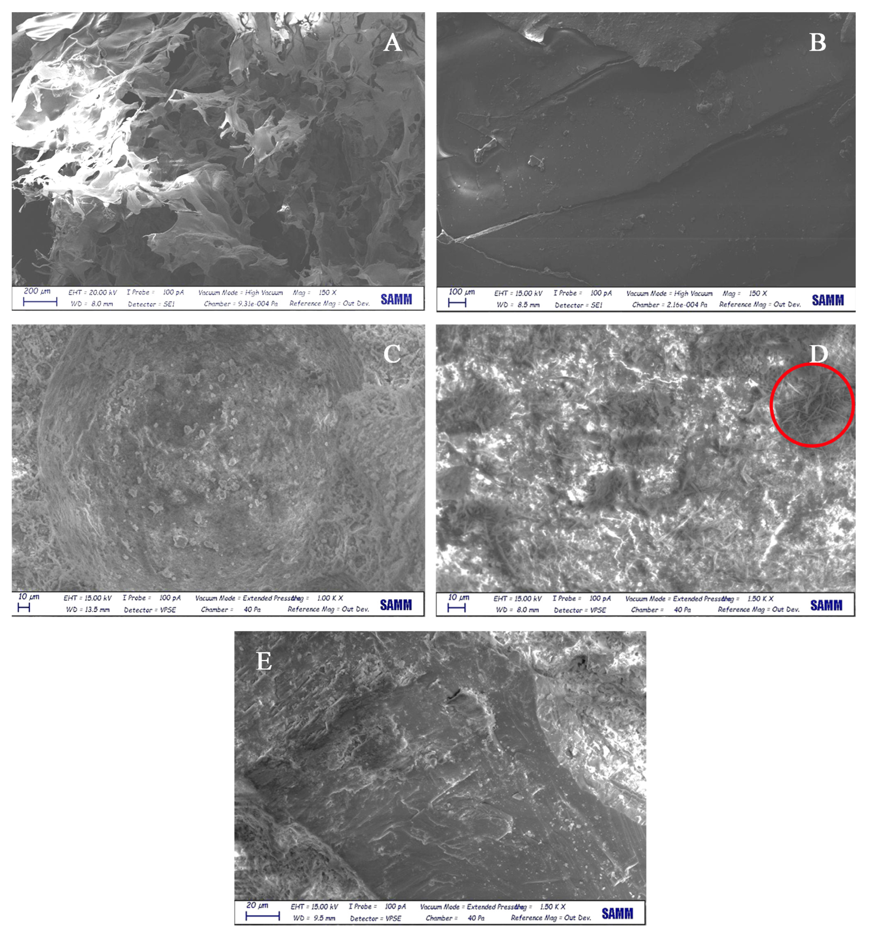 Nanomaterials 12 01093 g008