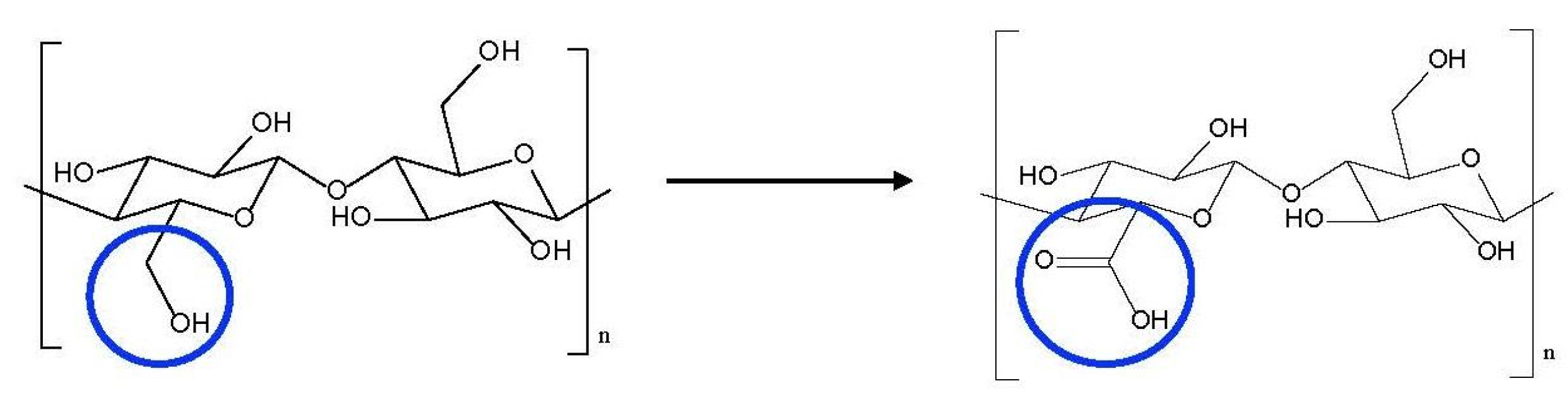 Nanomaterials 12 01093 g015