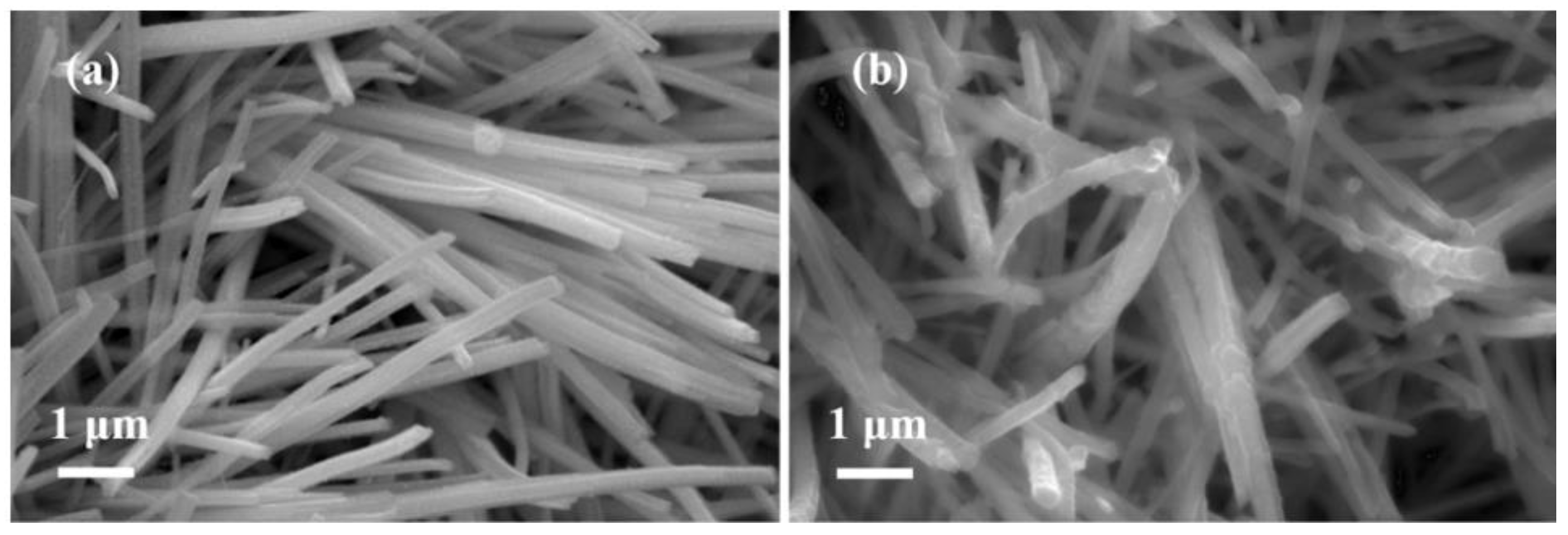 Nanomaterials 12 01094 g004