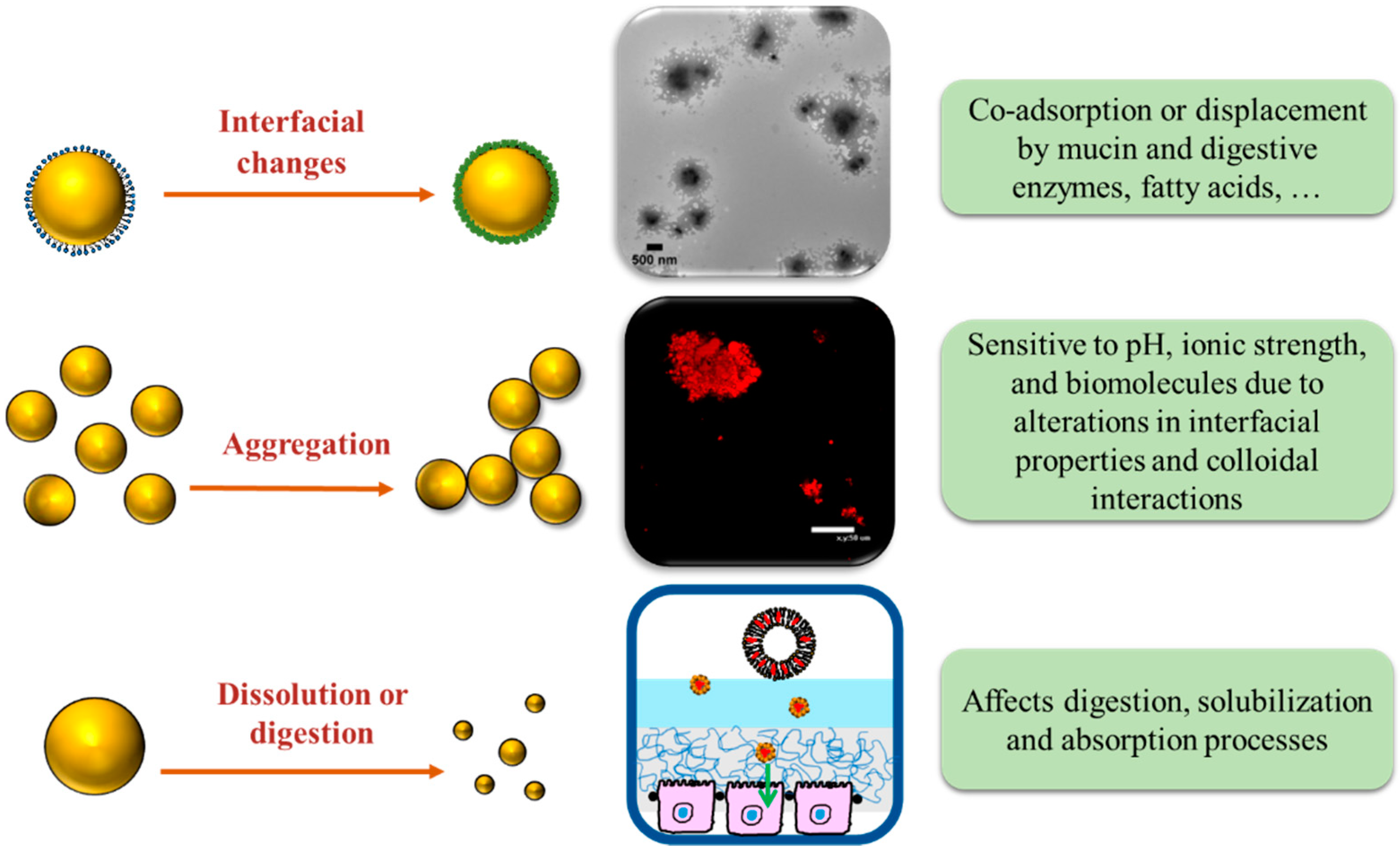 Nanomaterials 12 01099 g004 550