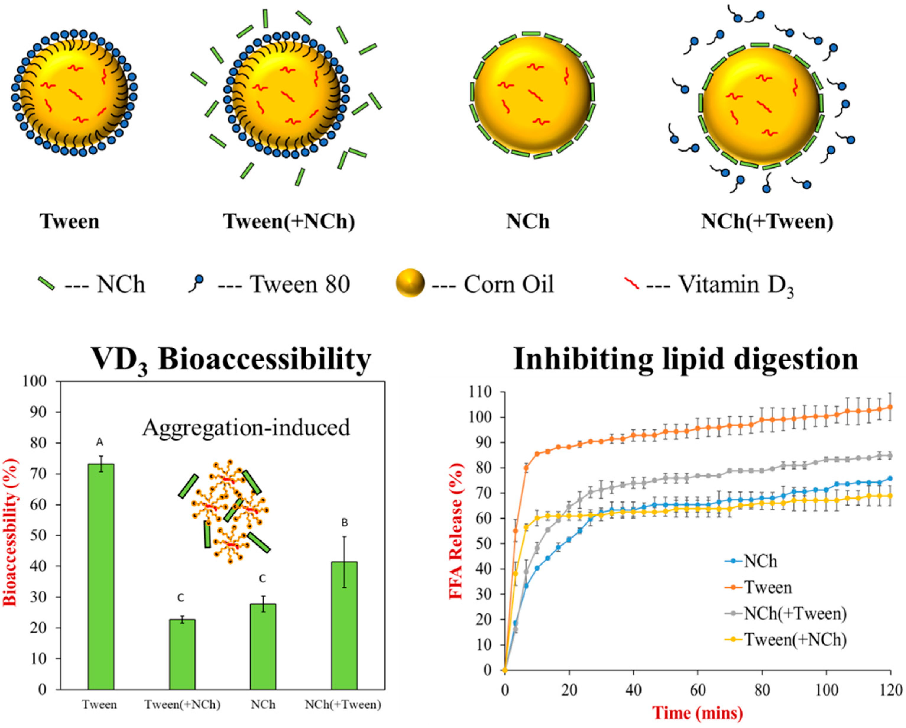 Nanomaterials 12 01099 g005 550