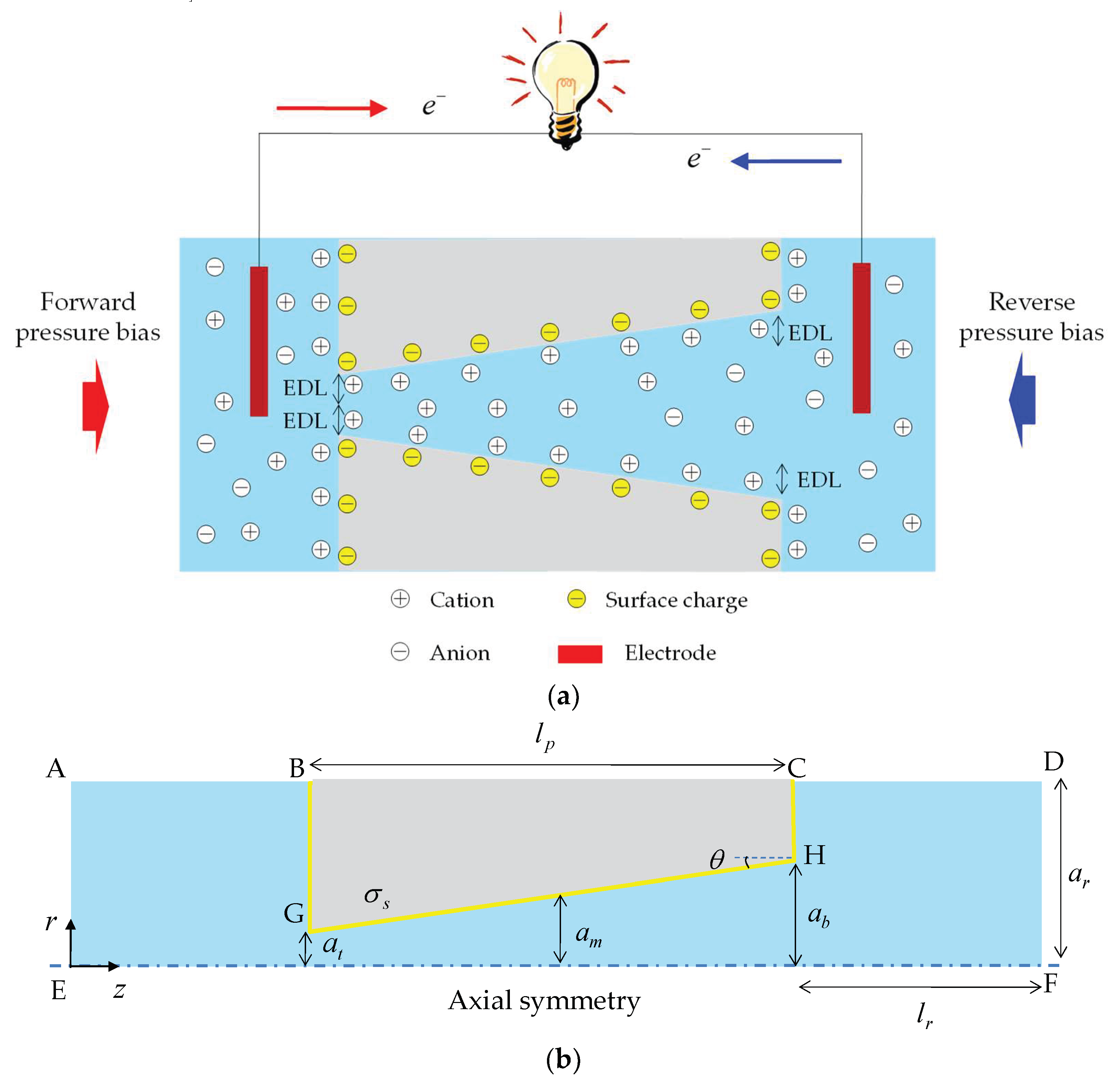Nanomaterials 12 01100 g001