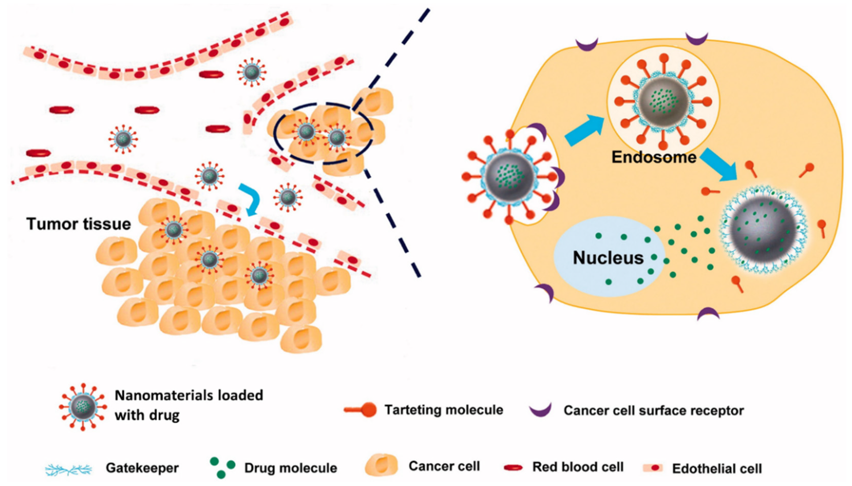 Nanomaterials 12 01102 g001
