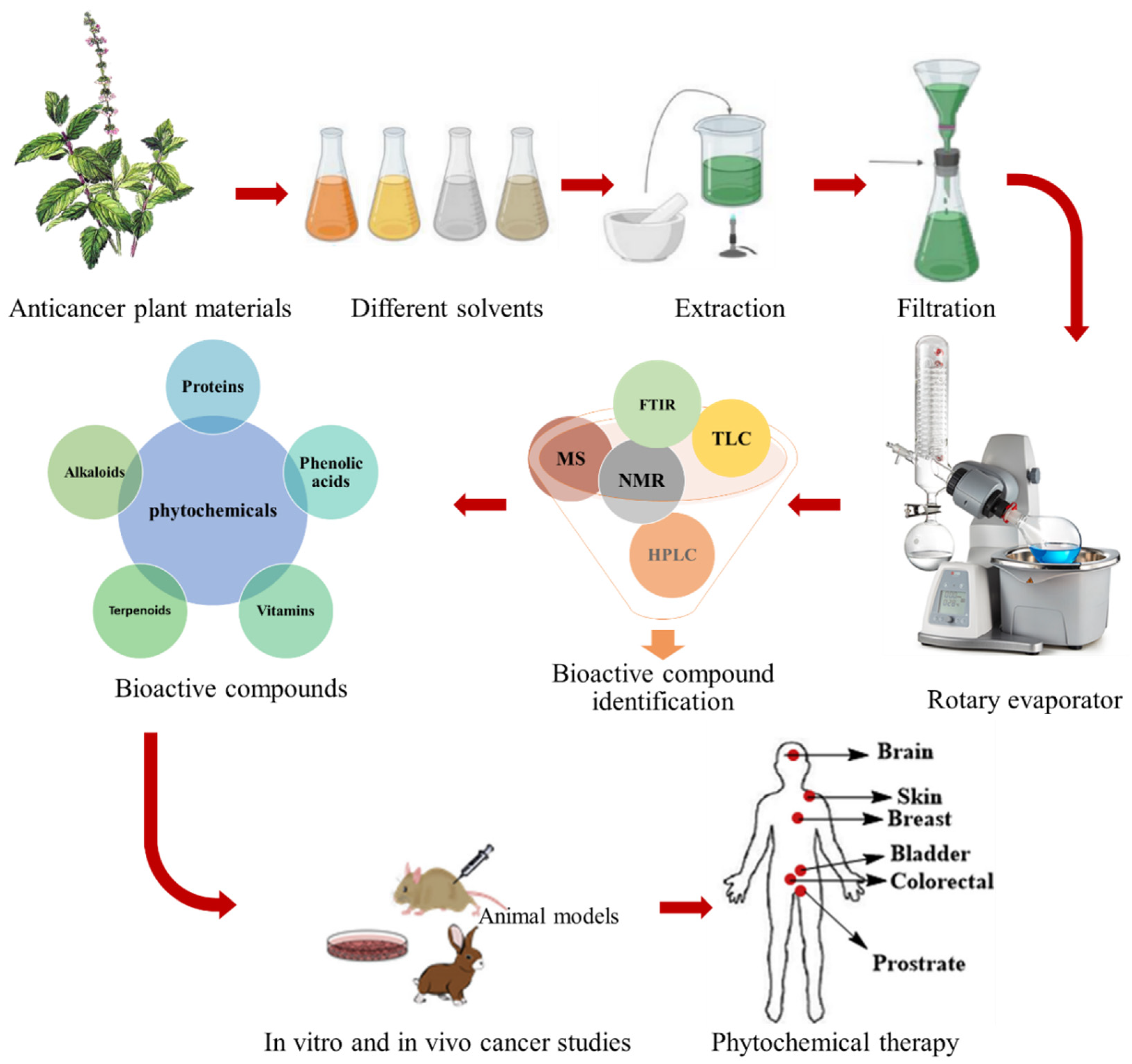 Nanomaterials 12 01102 g002