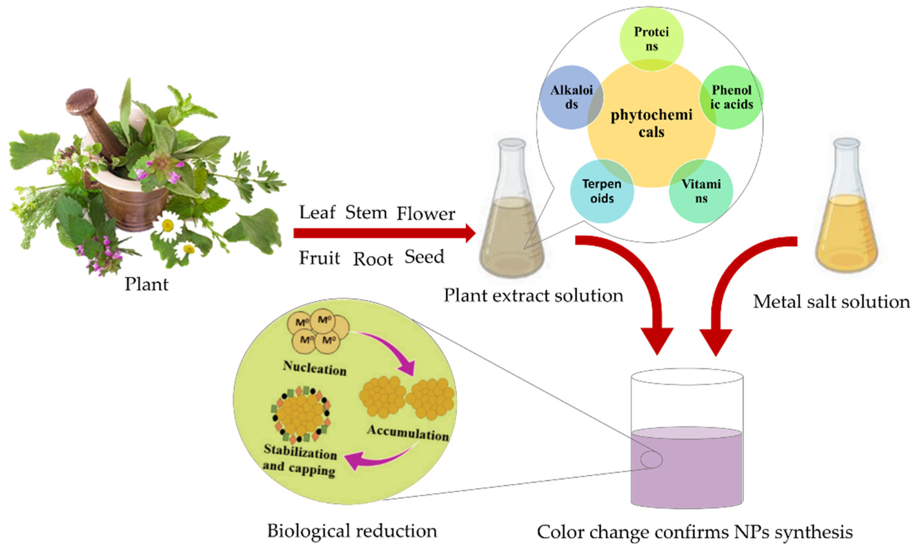 Nanomaterials 12 01102 g003
