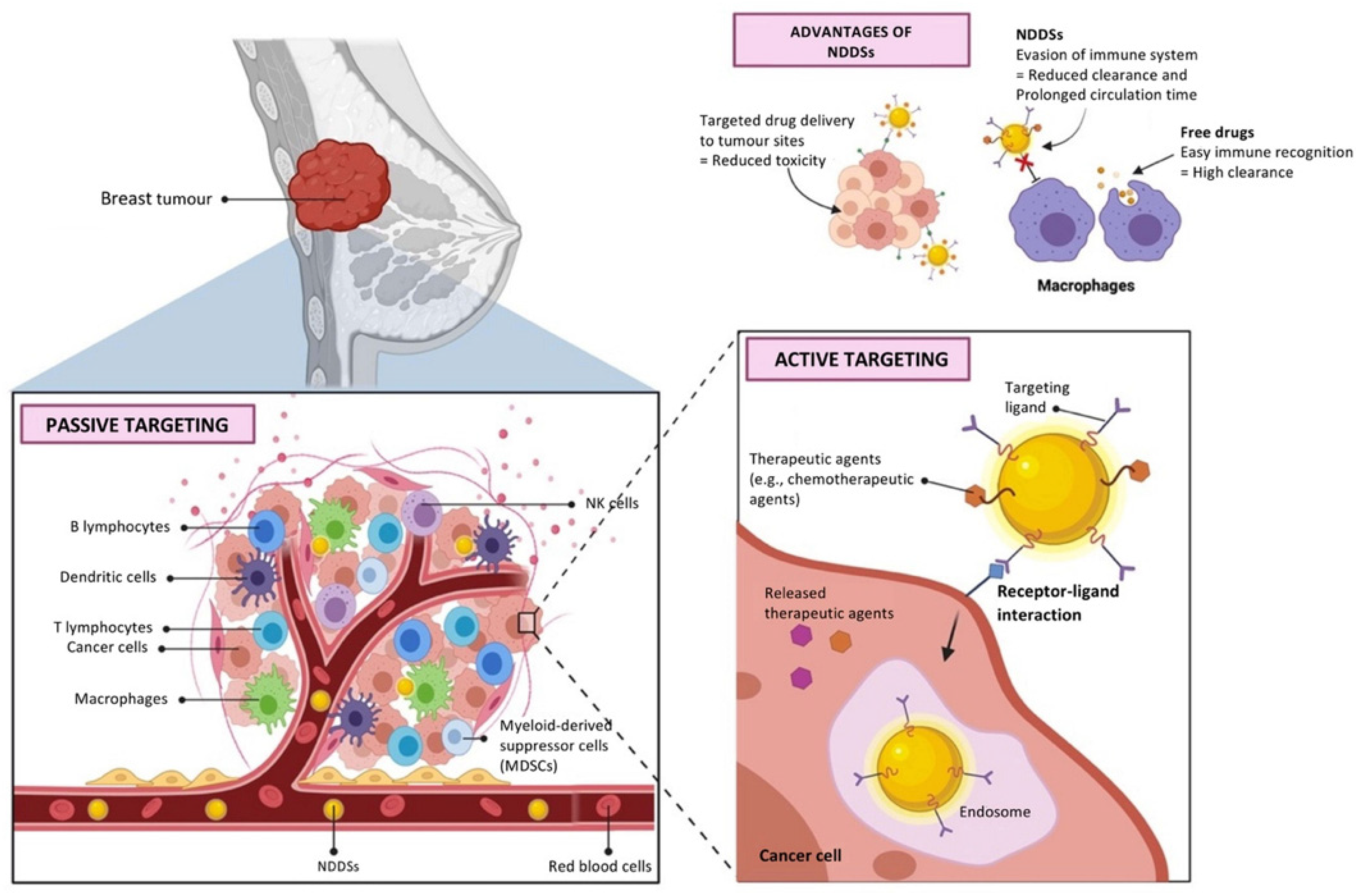 Nanomaterials 12 01102 g005