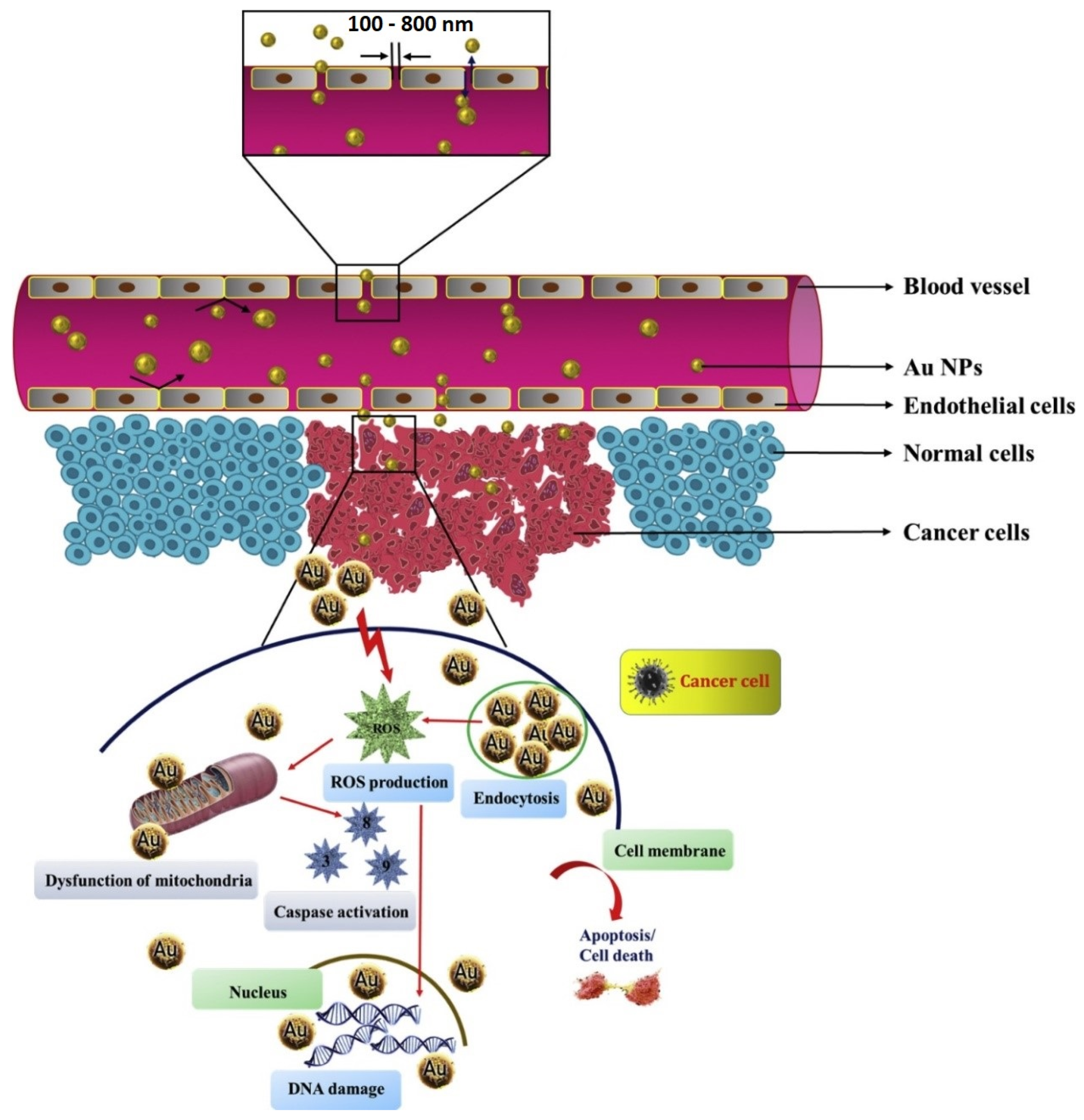 Nanomaterials 12 01102 g007