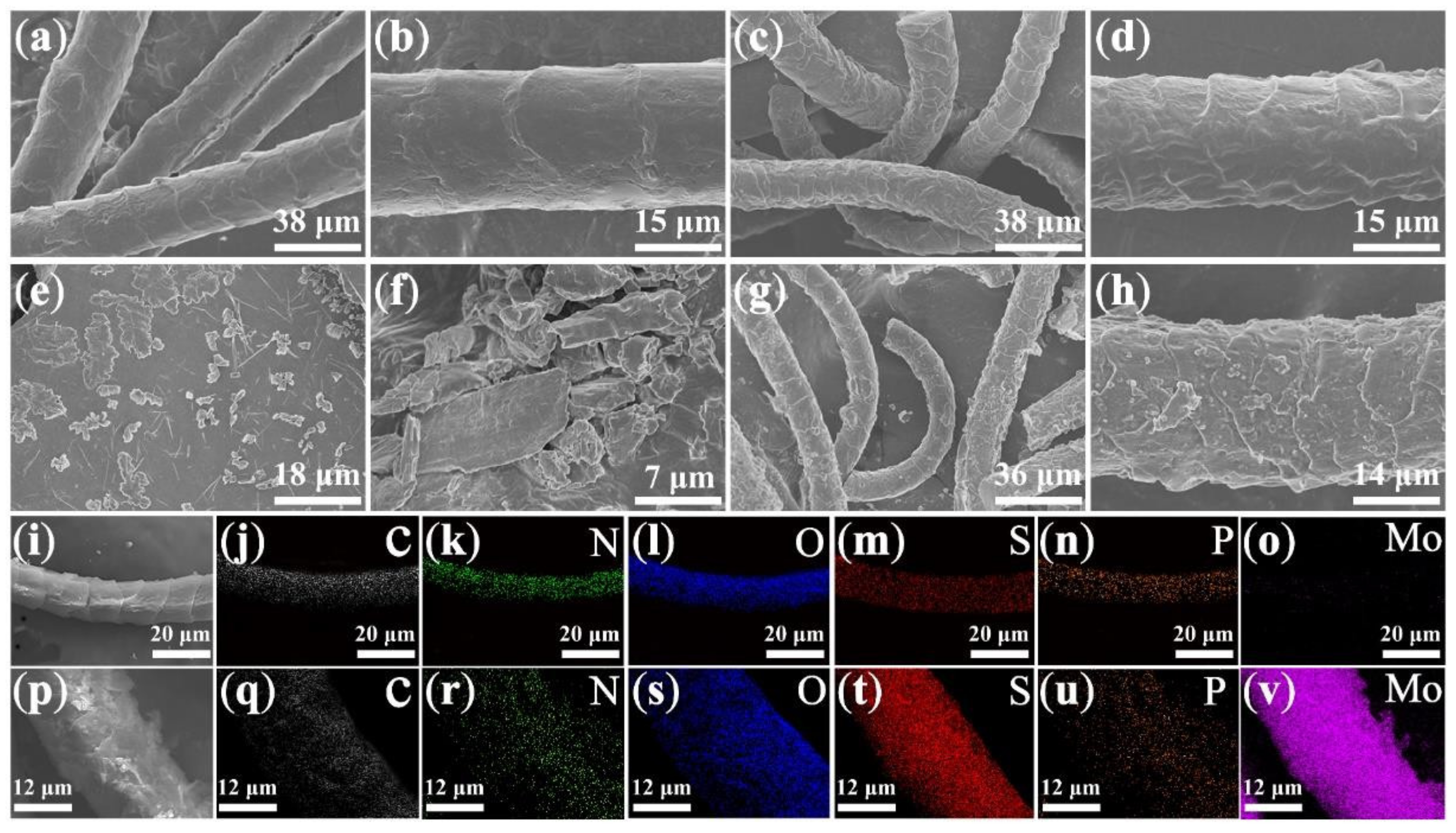 Nanomaterials 12 01105 g001