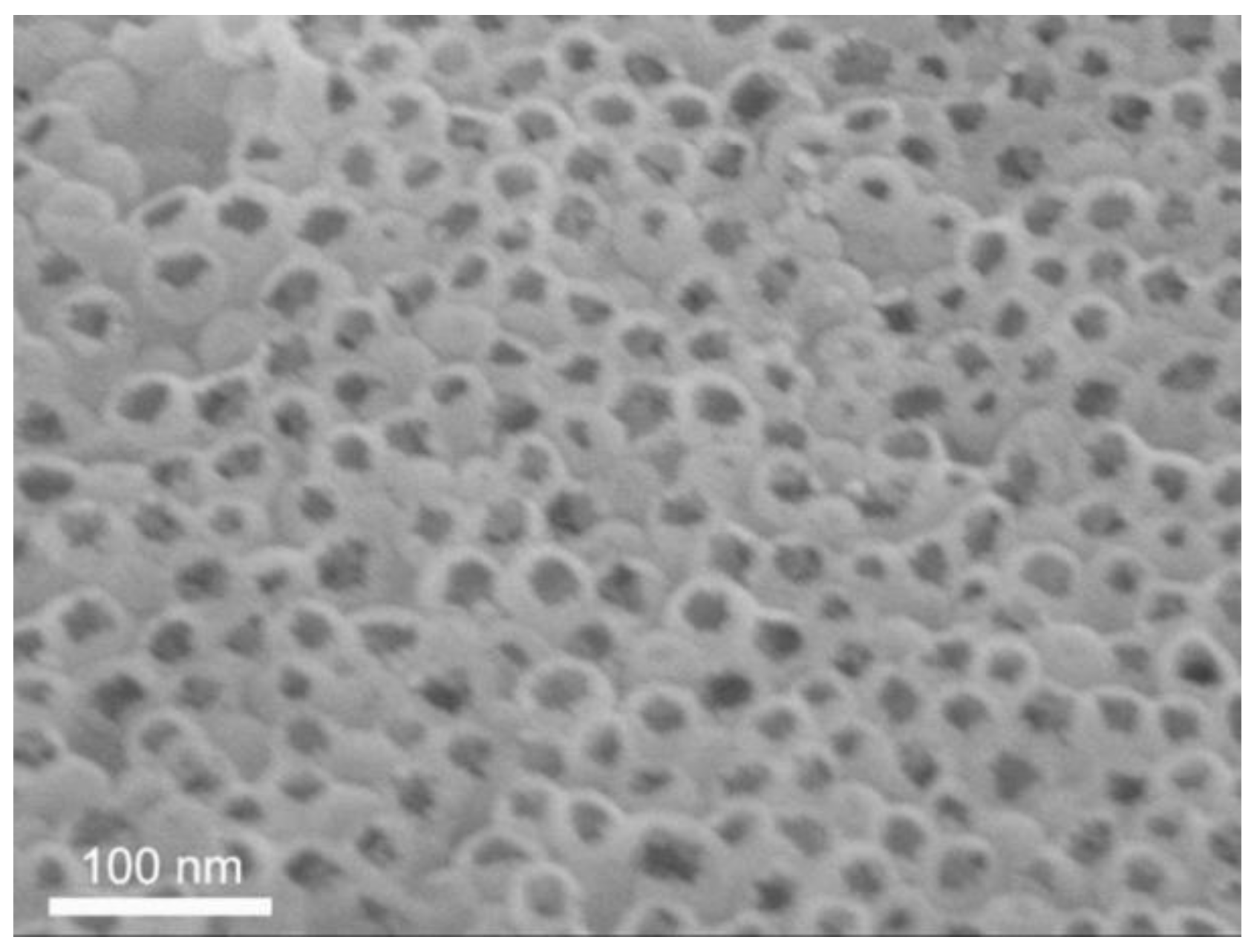 Nanomaterials 12 01106 g010 550