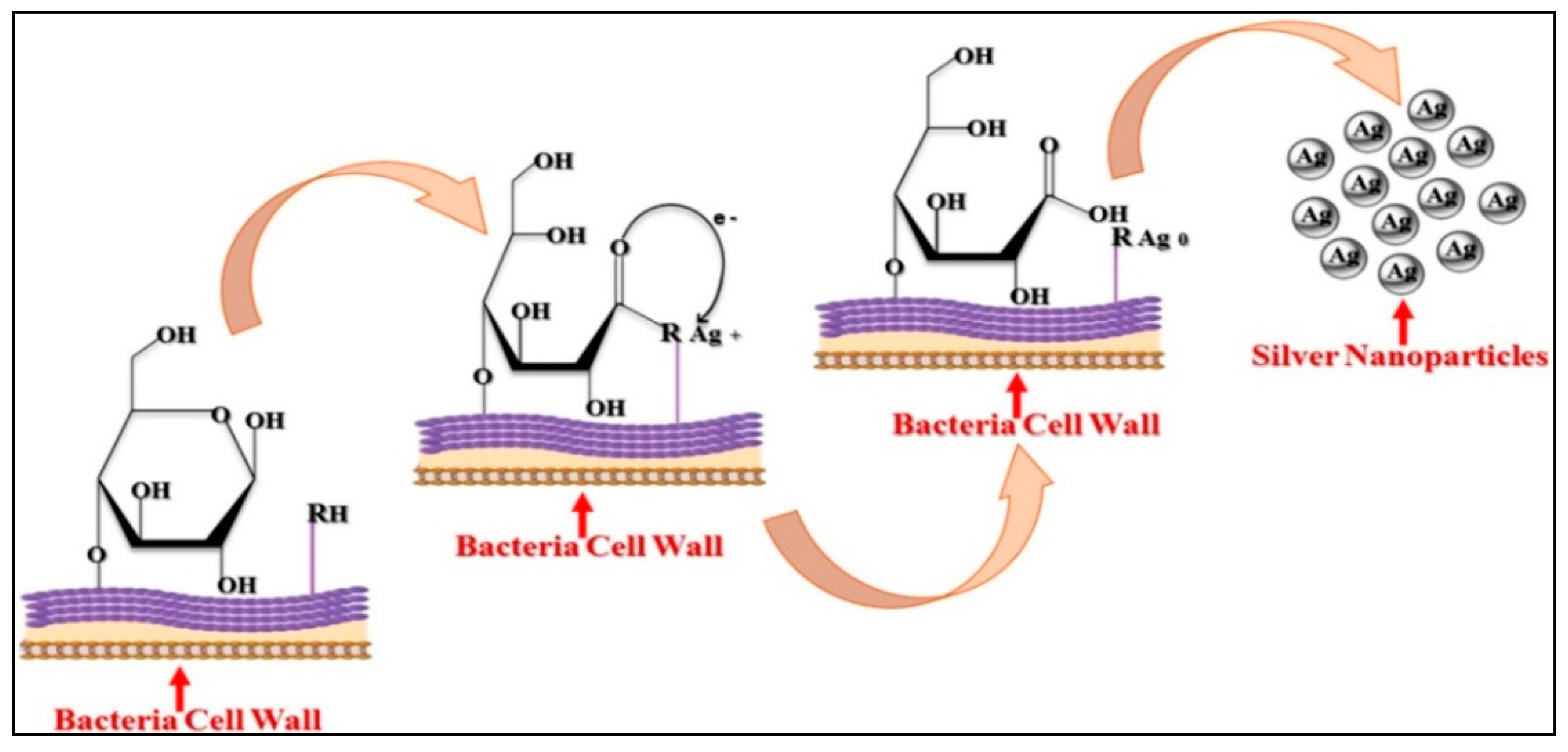 Nanomaterials 12 01115 g004