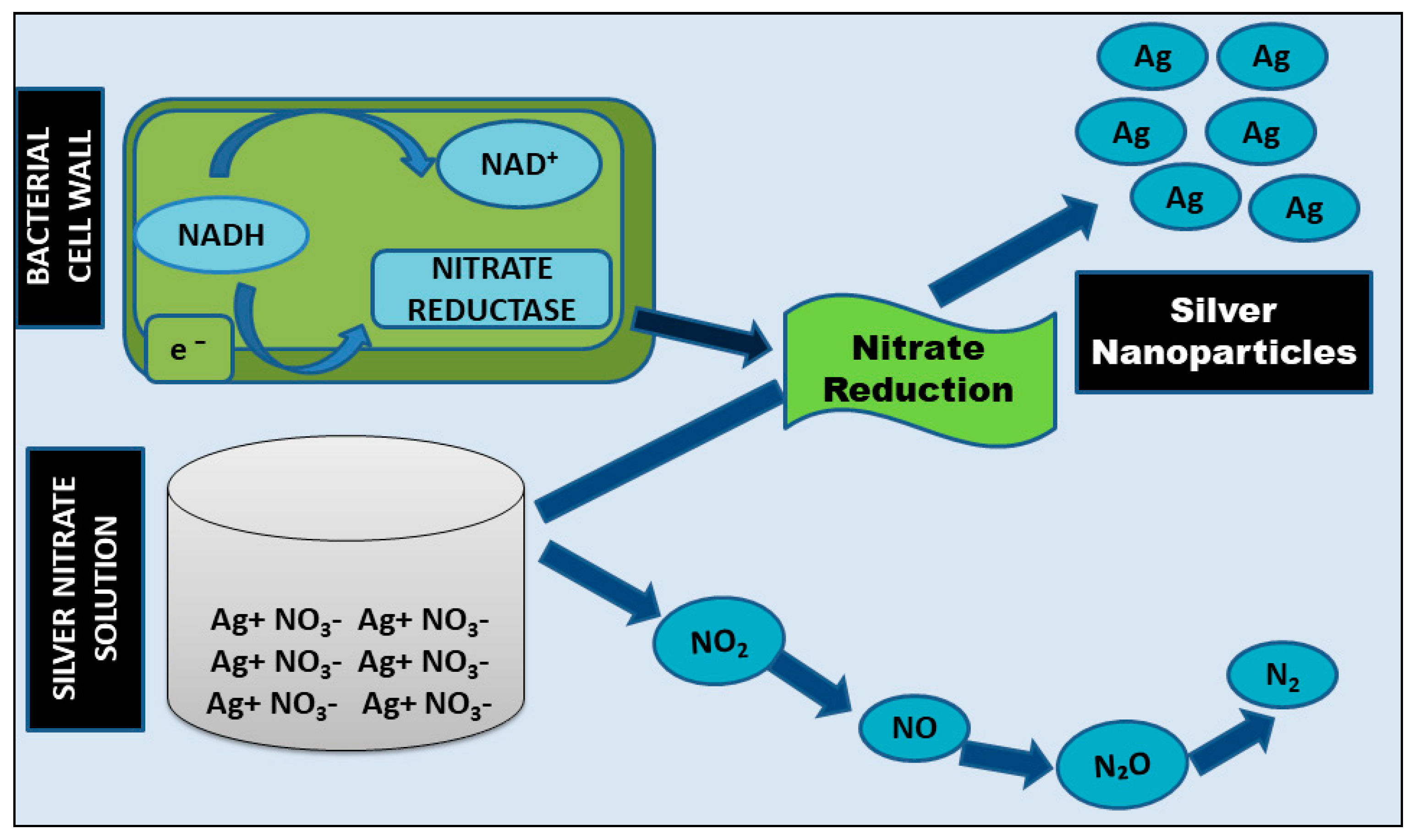 Nanomaterials 12 01115 g005