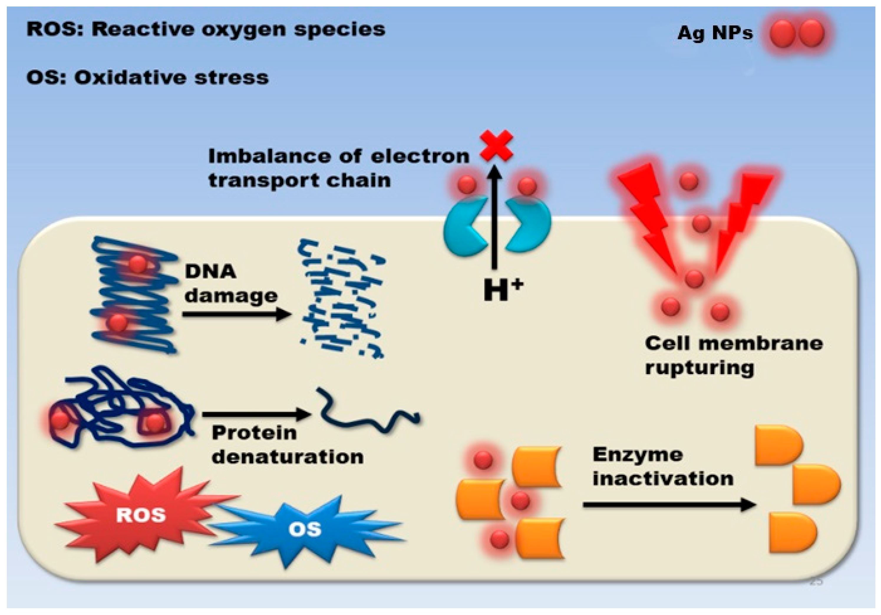 Nanomaterials 12 01115 g008
