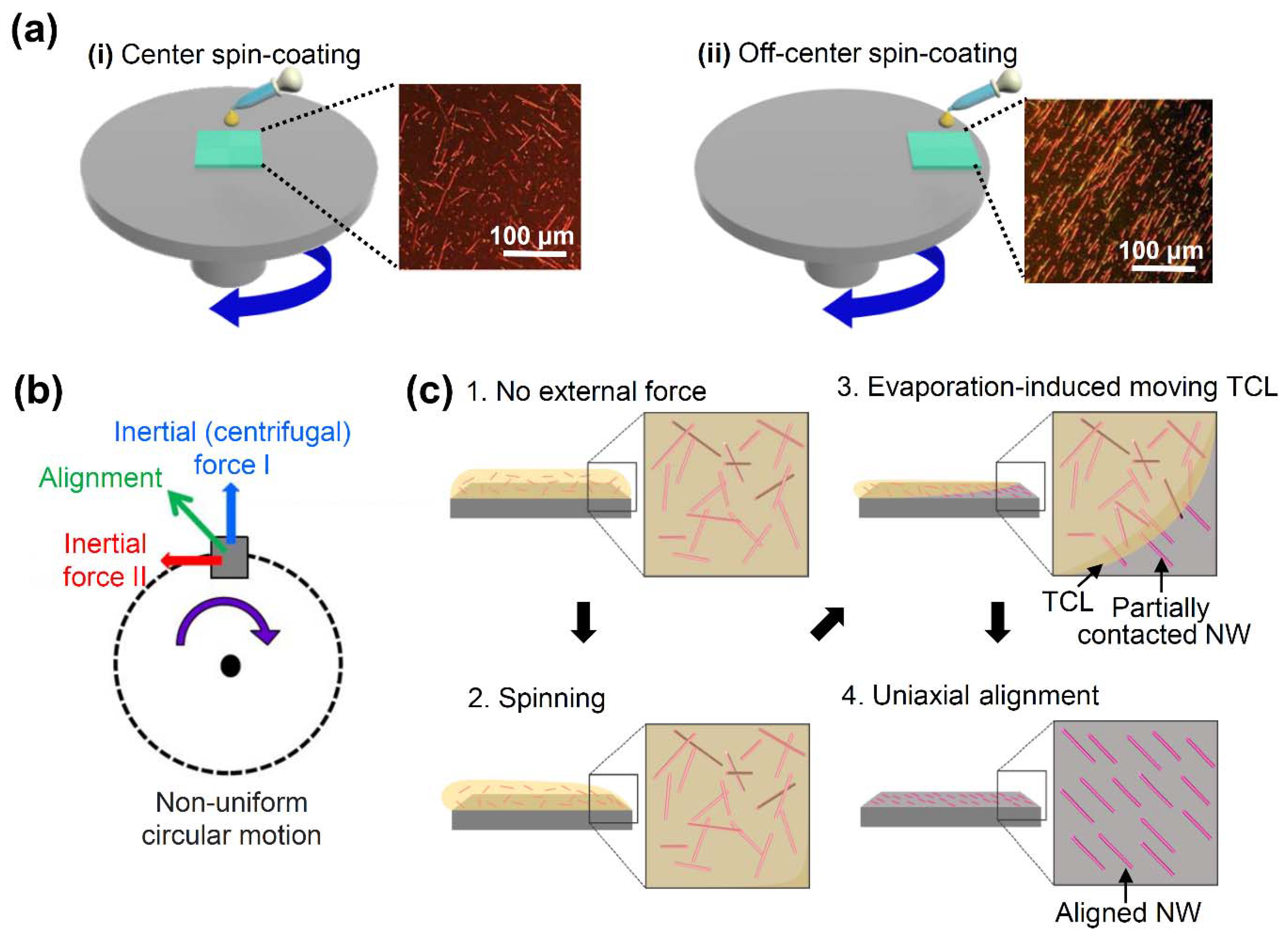 Nanomaterials Free FullText Tailored Uniaxial Alignment of