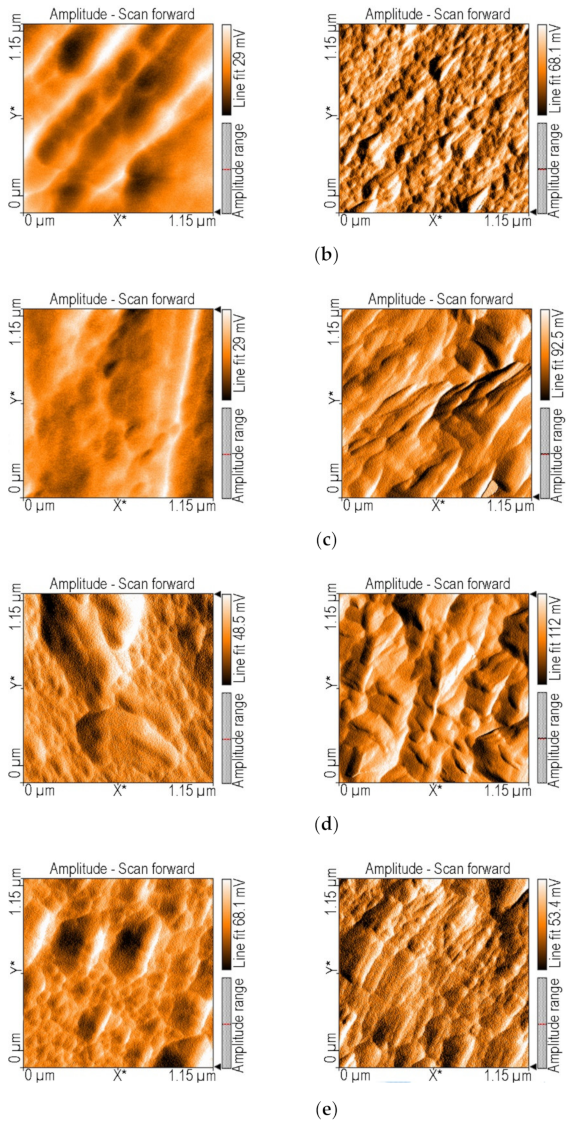 Nanomaterials 12 01118 g006b