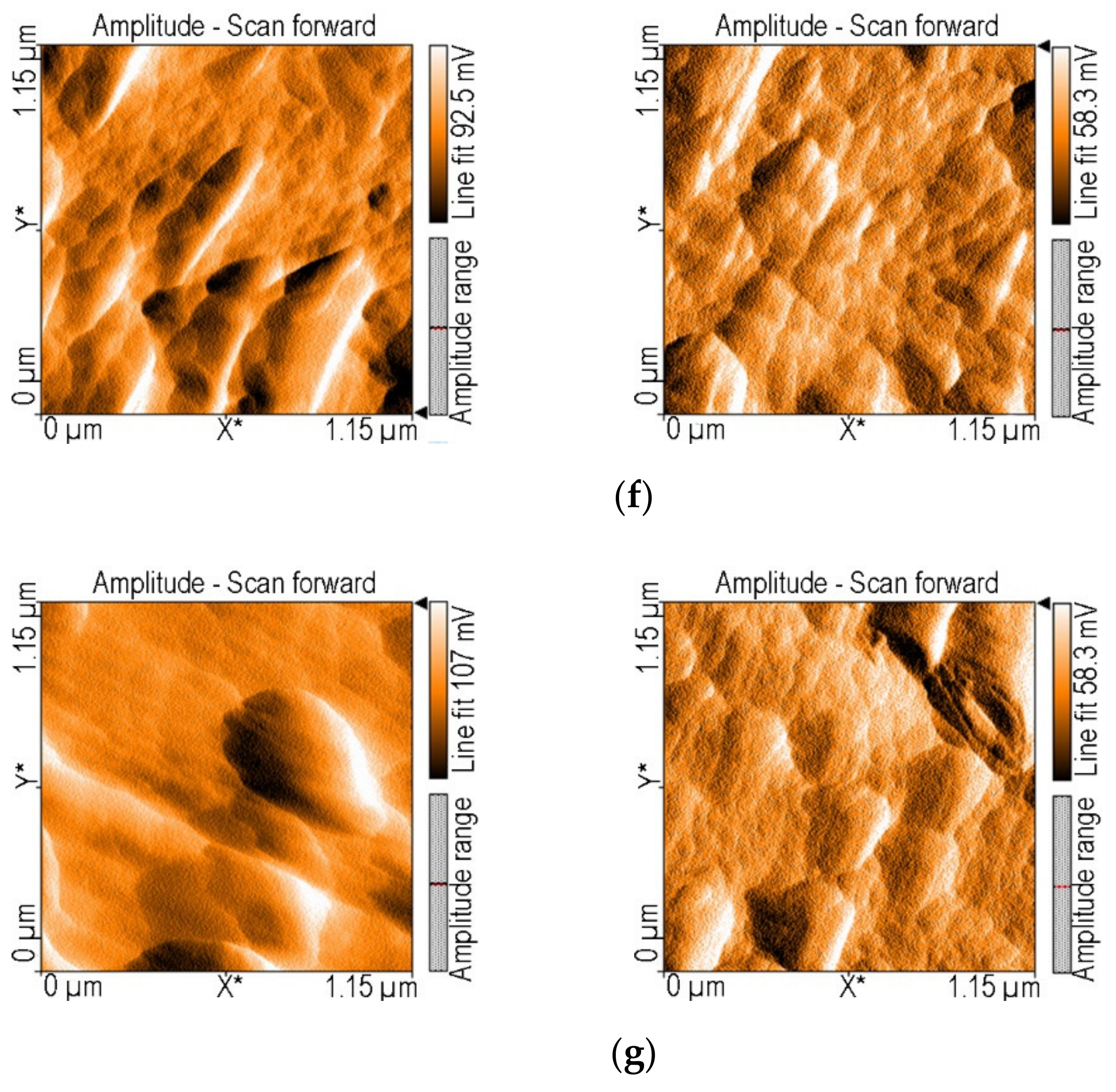 Nanomaterials 12 01118 g006c