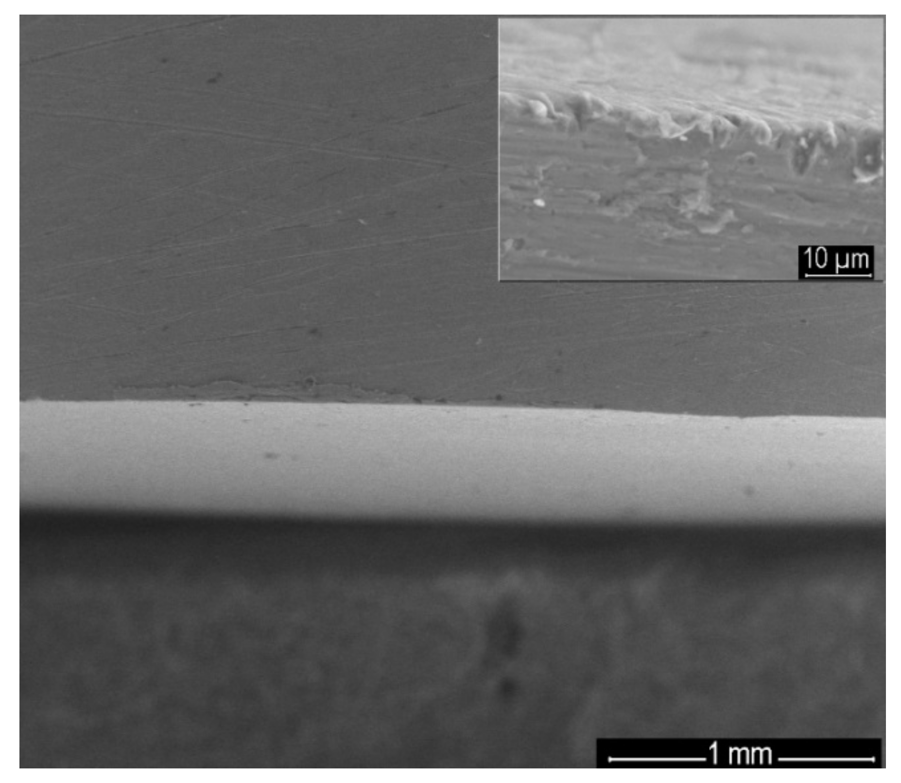 Nanomaterials 12 01118 g007