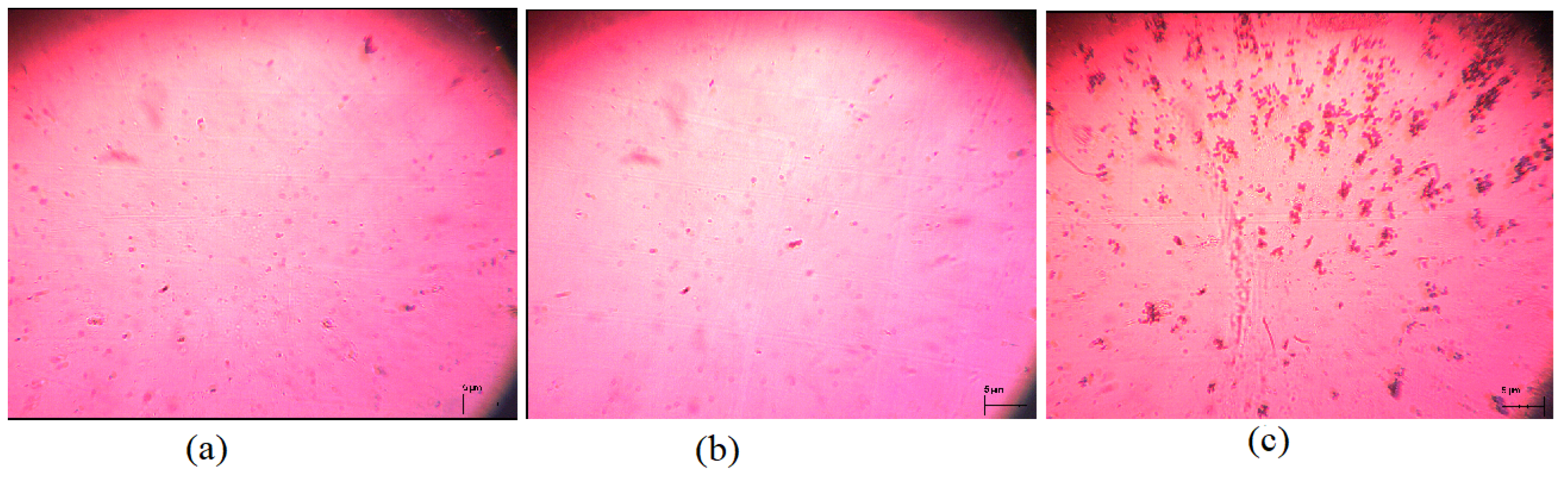 Nanomaterials 12 01119 g003 550