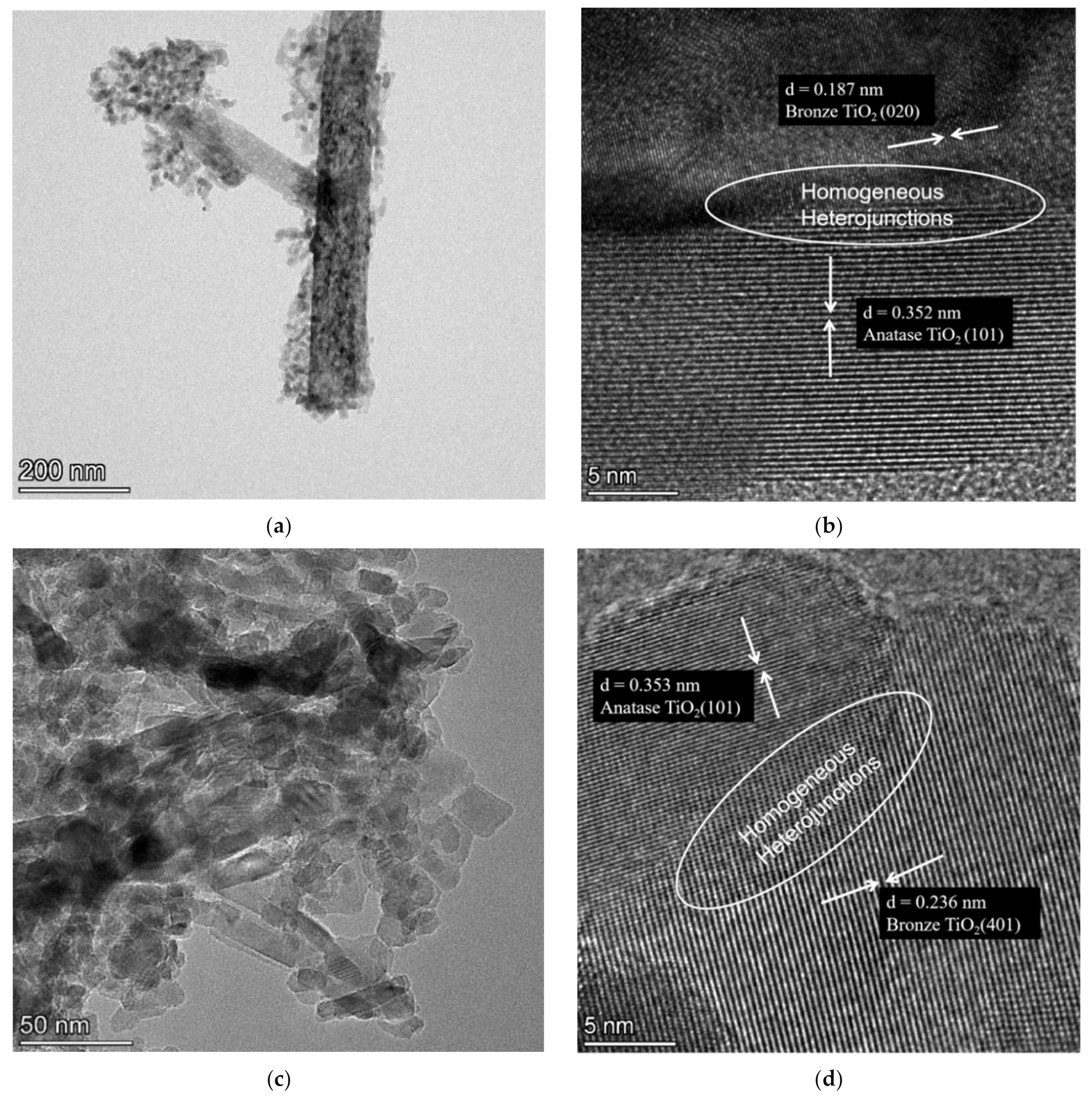 Nanomaterials 12 01122 g003 550