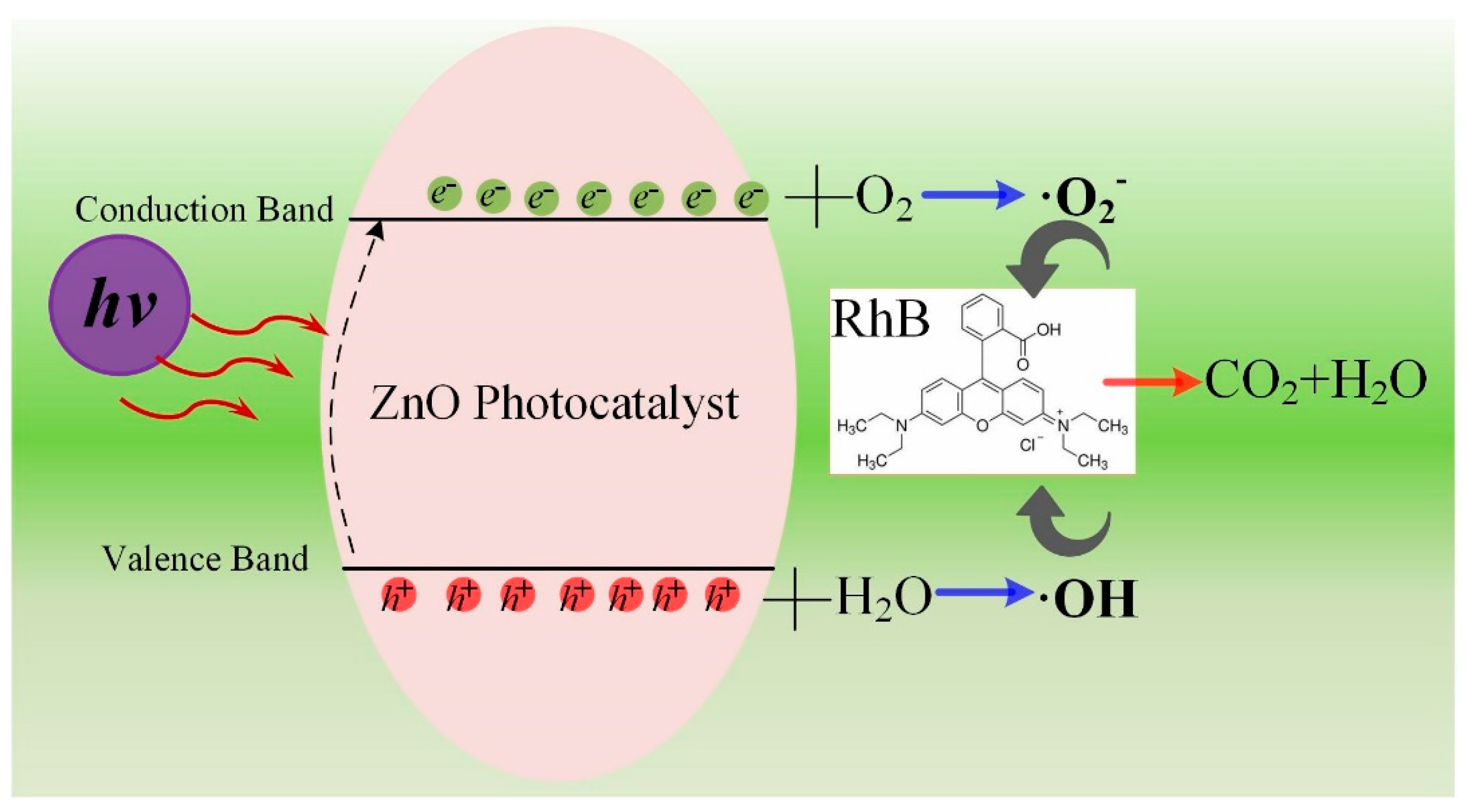 Nanomaterials 12 01124 g010 550