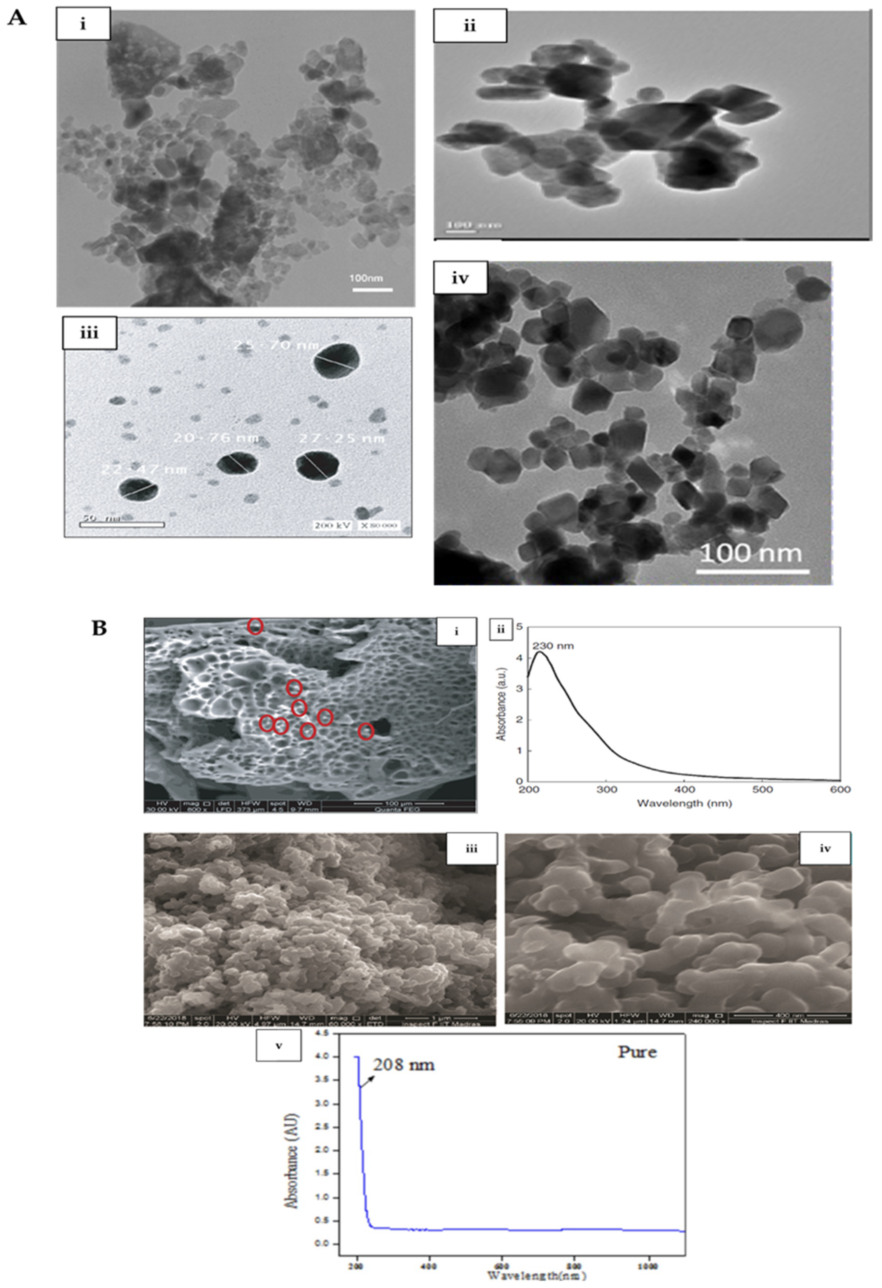Nanomaterials 12 01129 g002