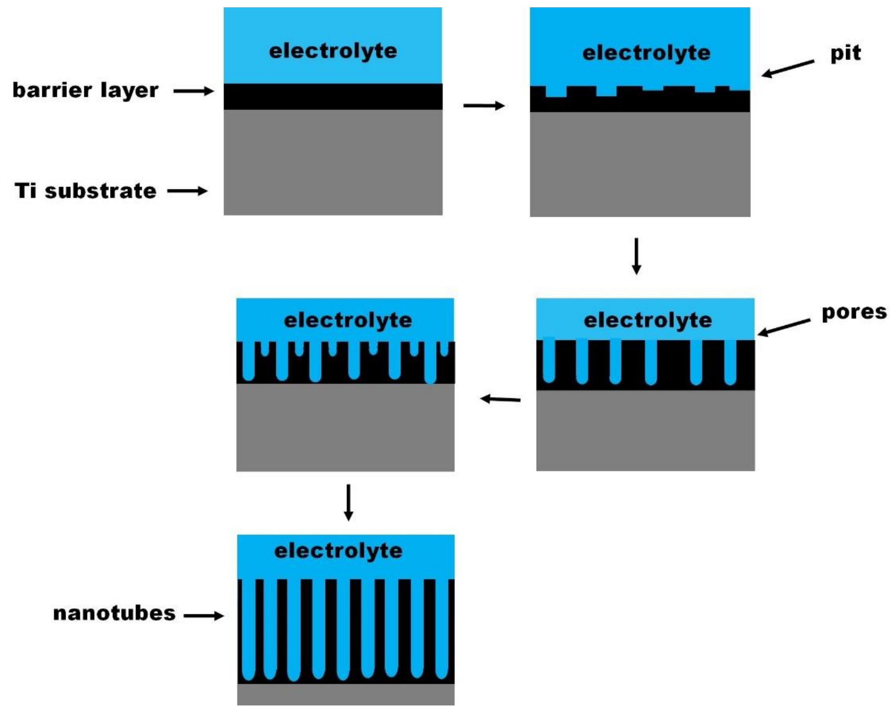 Nanomaterials 12 01131 g006 550