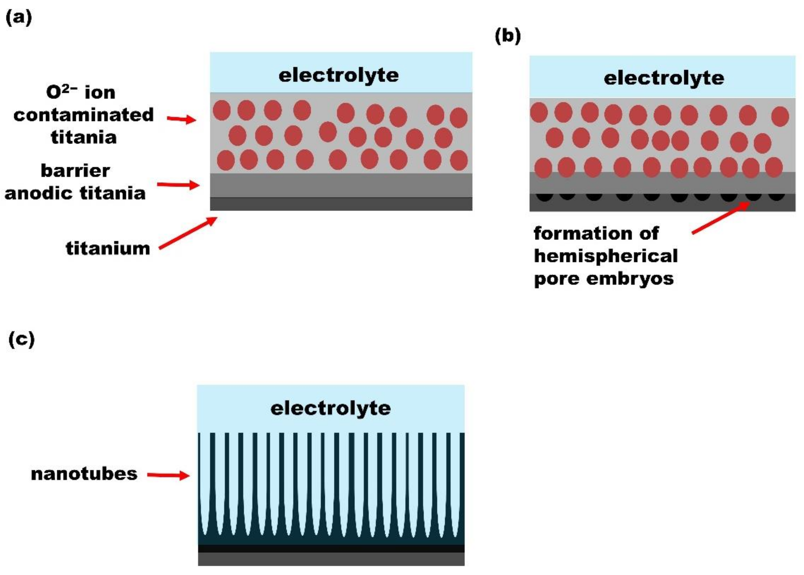 Nanomaterials 12 01131 g008 550