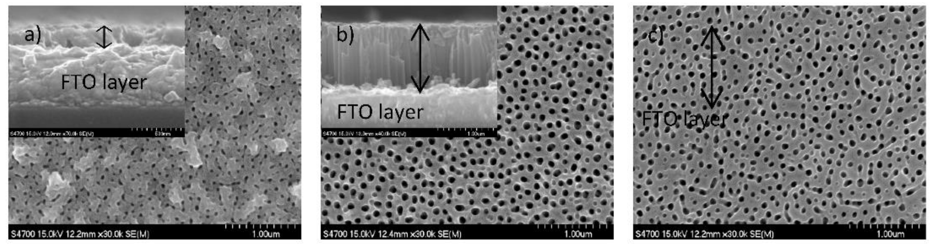 Nanomaterials 12 01131 g009 550