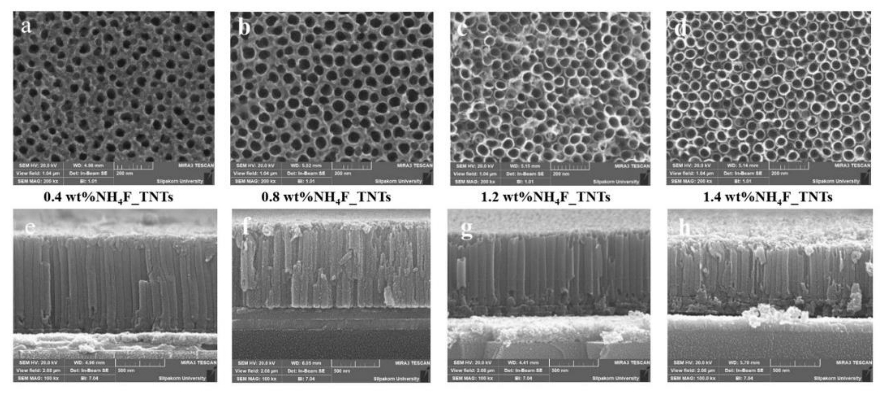 Nanomaterials 12 01131 g013 550