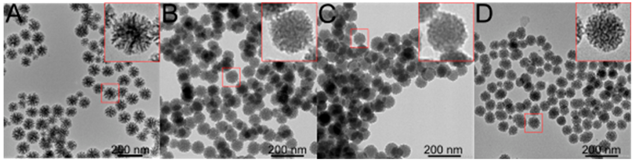 Nanomaterials 12 01136 g001