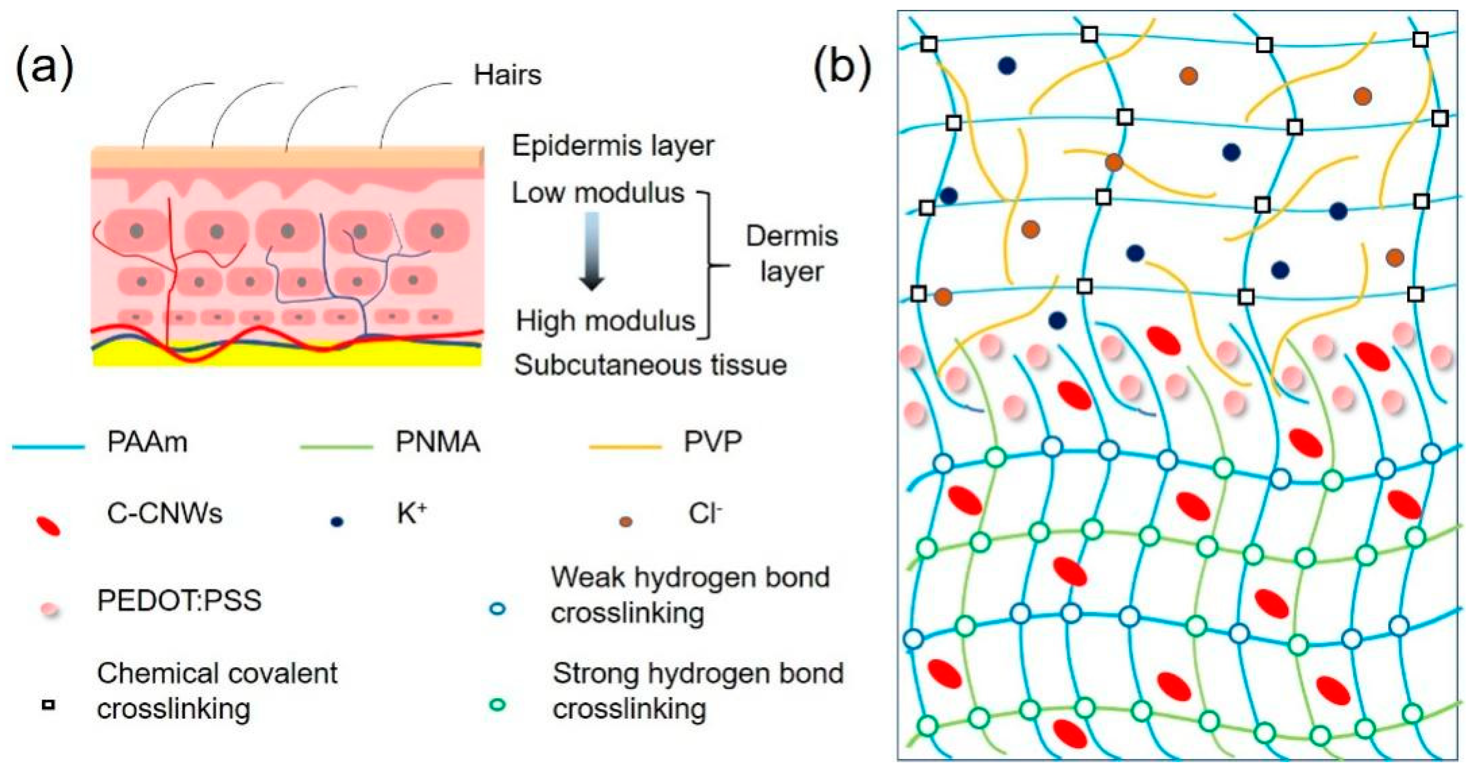 Nanomaterials 12 01137 g001 550