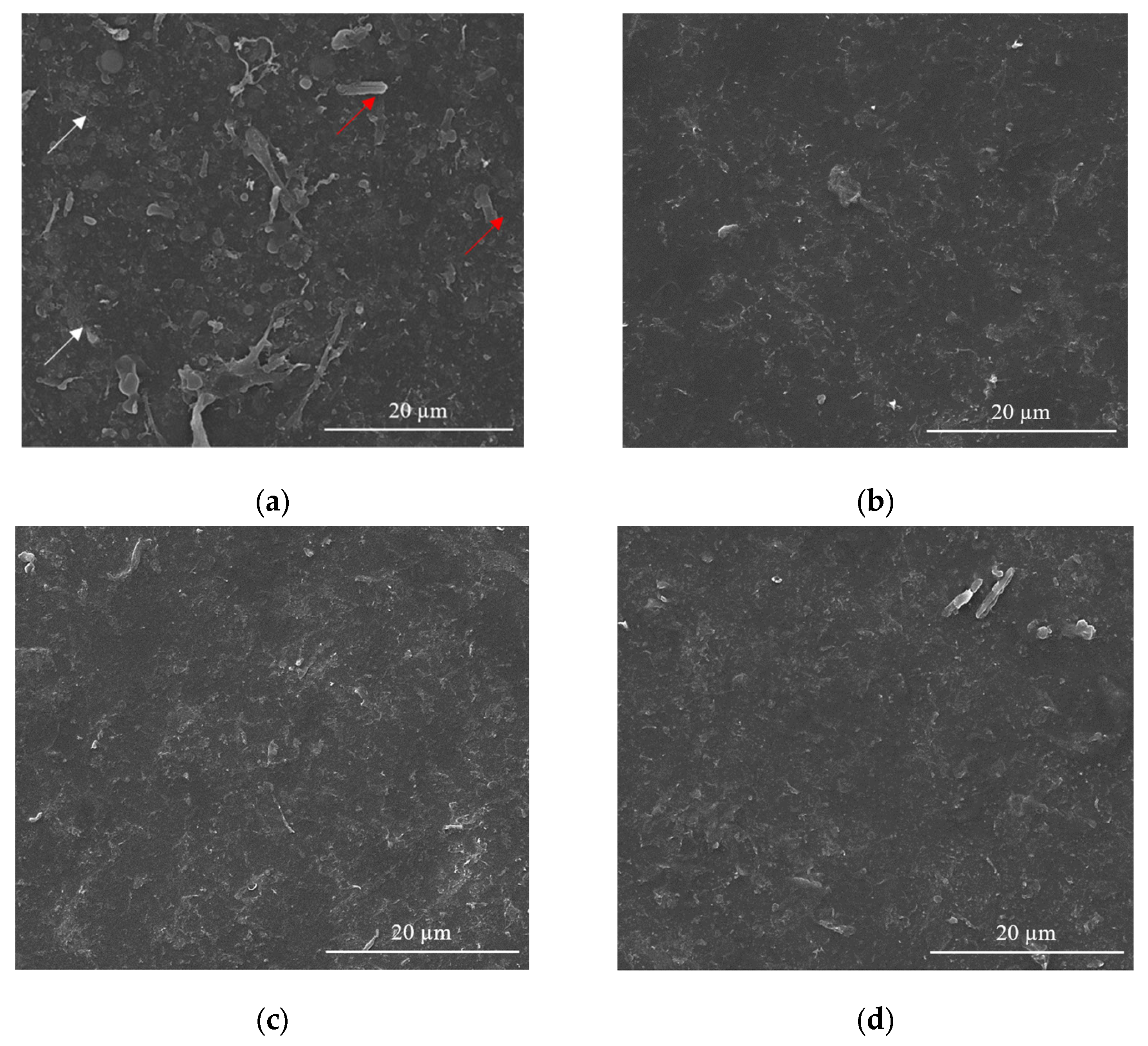 Nanomaterials 12 01138 g004